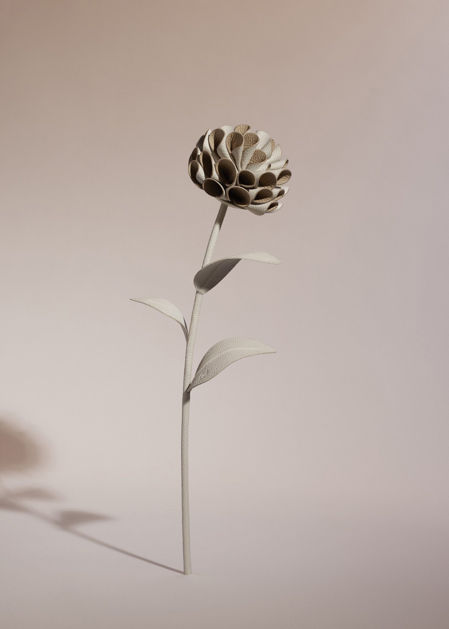 010_DALIUM-CRAIE_0017_2000x2800px