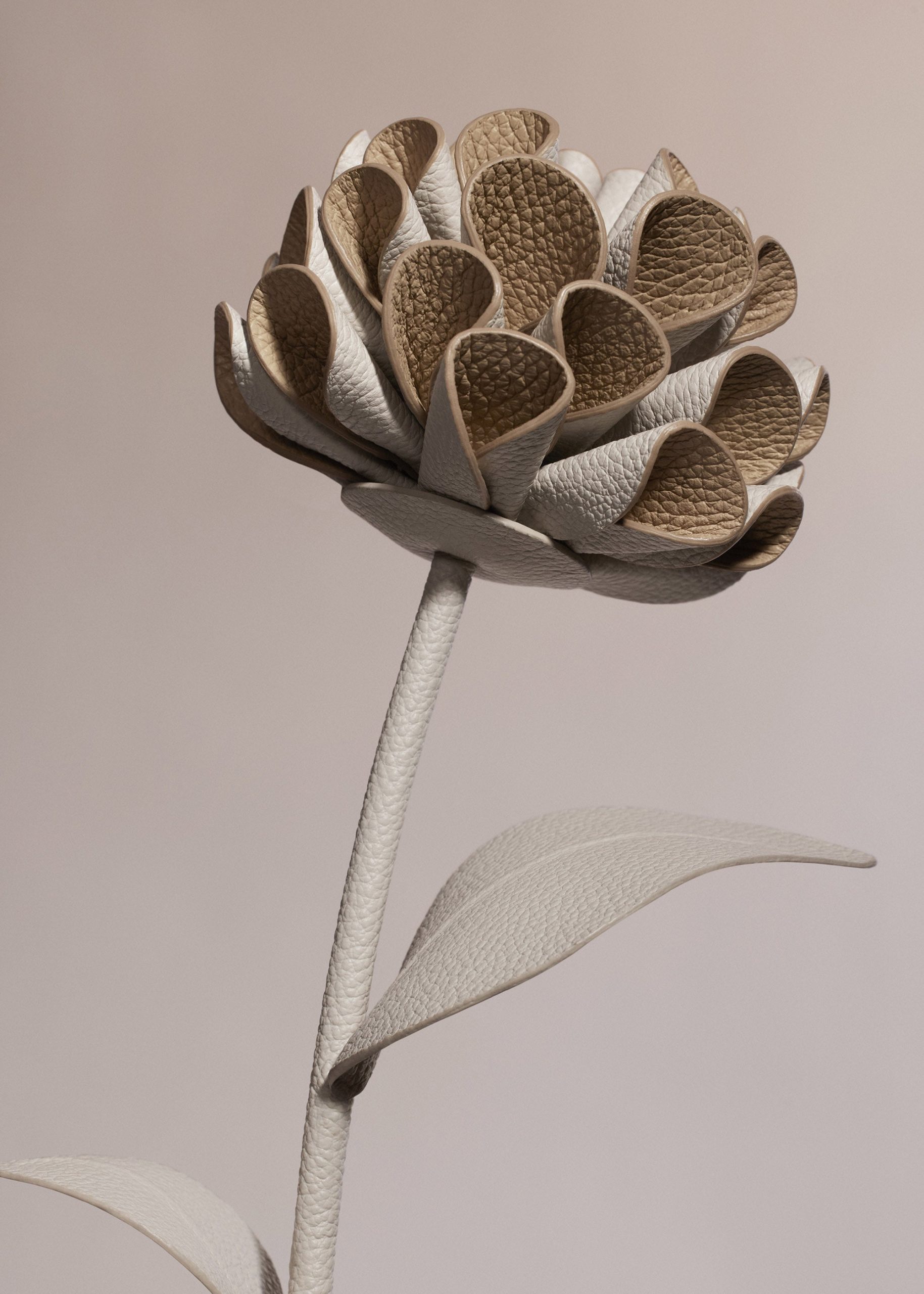 010_DALIUM-CRAIE_0052_2000x2800px