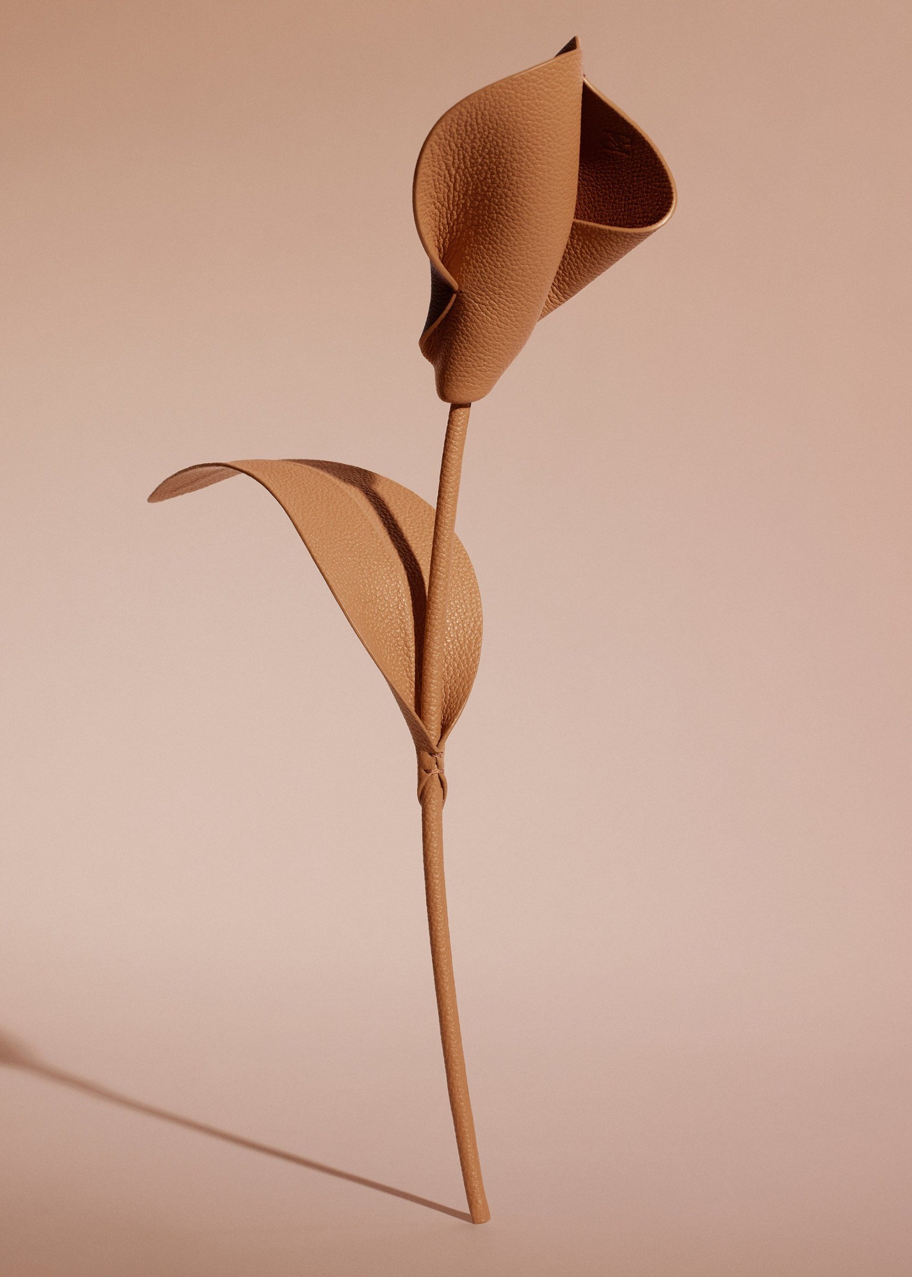 060_PILI-CAMEL_00232000x2800px