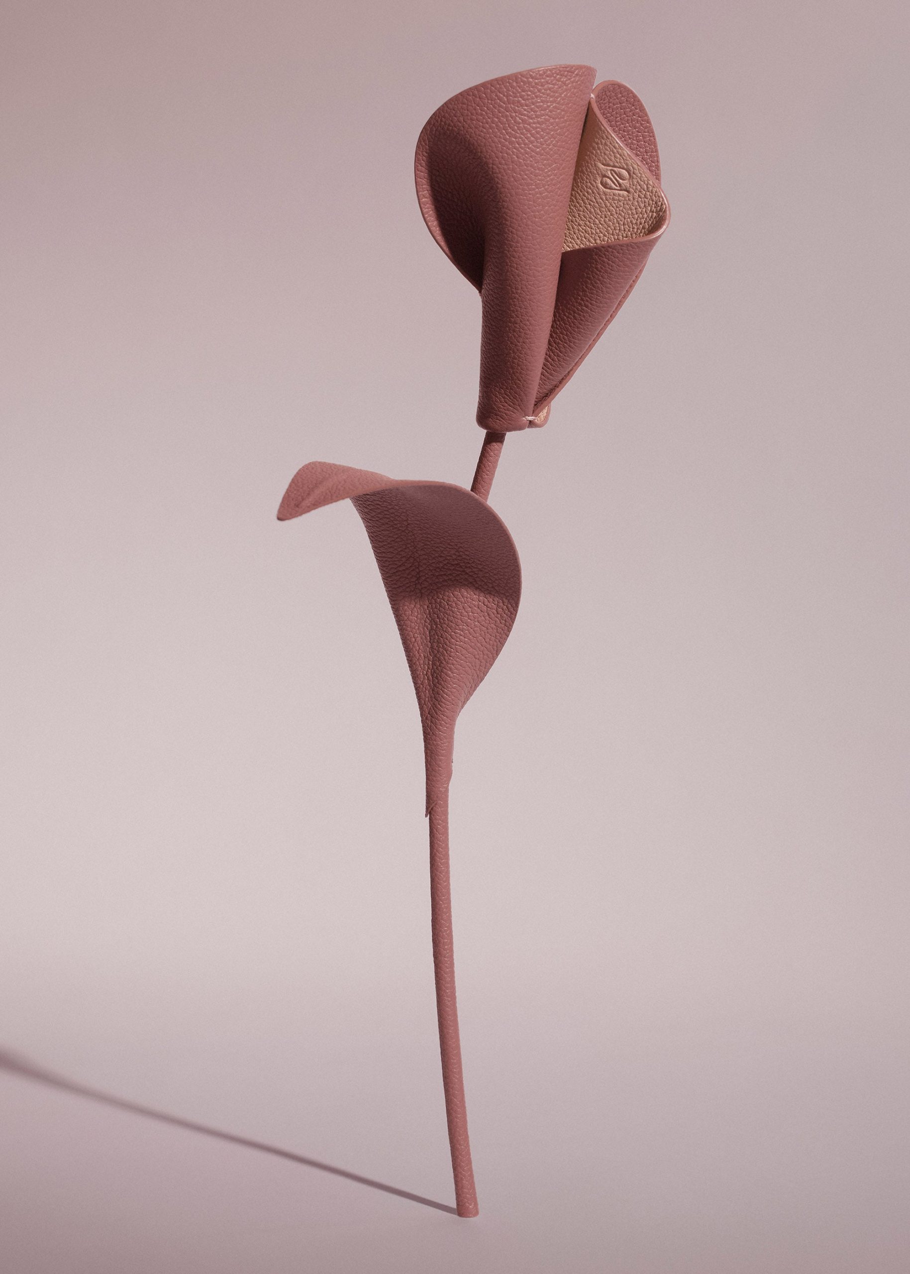 080_PILI-BLUSH_00102000x2800px