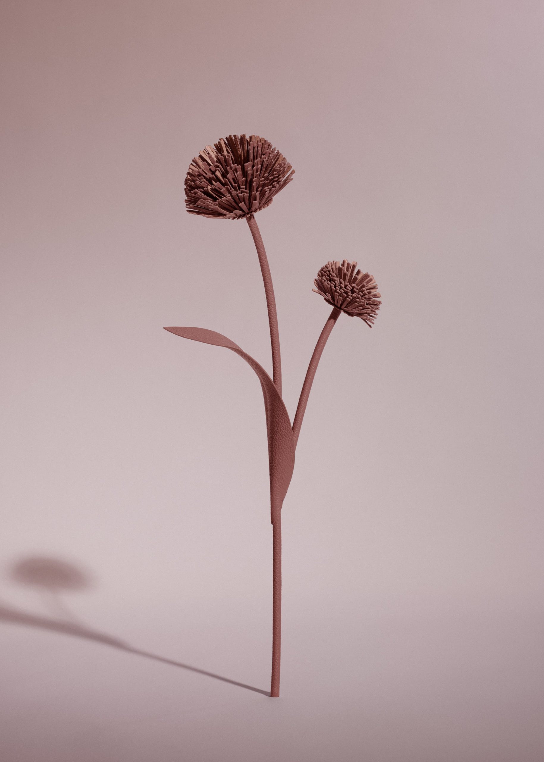 110_TUL-BLUSH_00162000x2800px