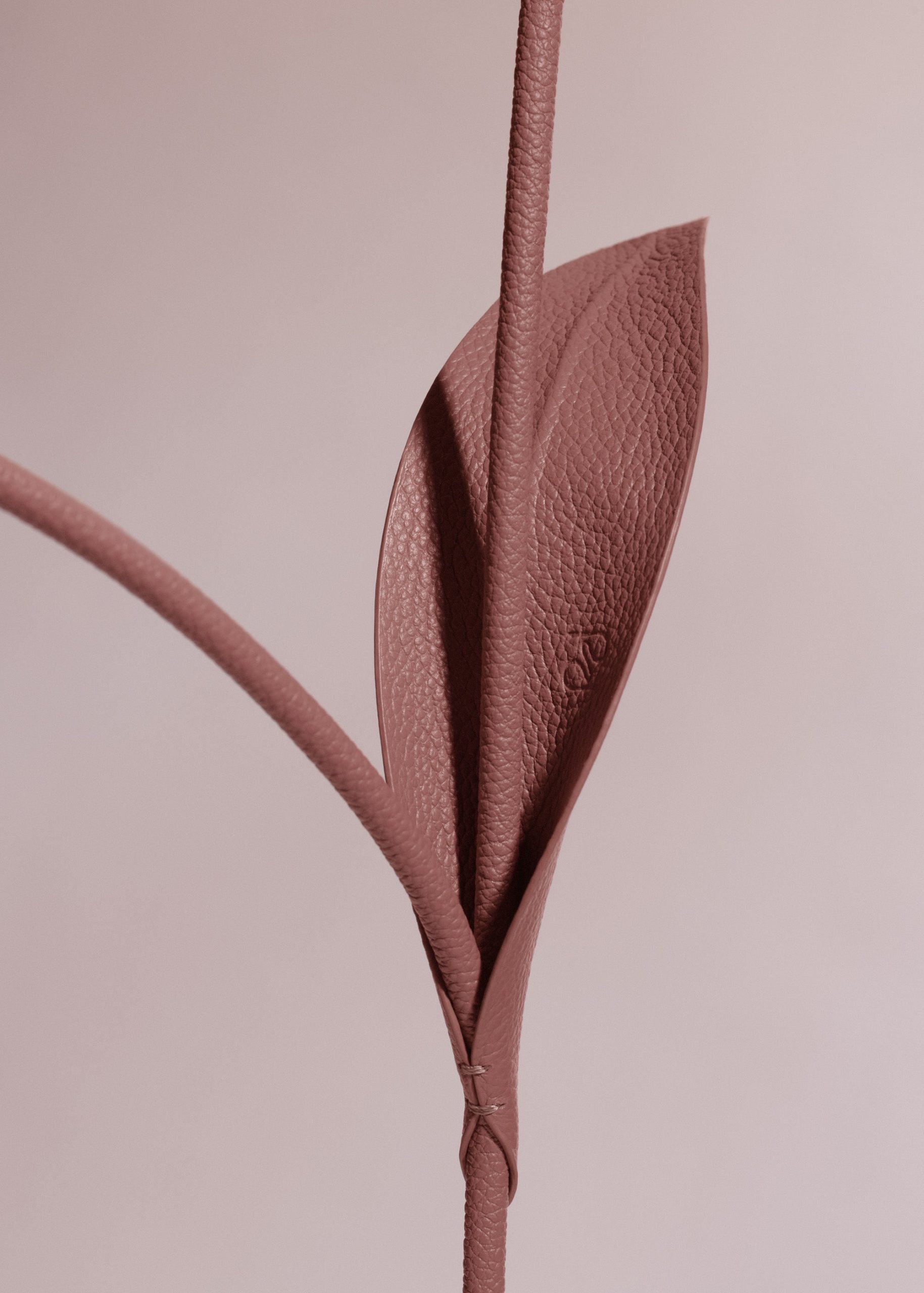 110_TUL-BLUSH_00302000x2800px