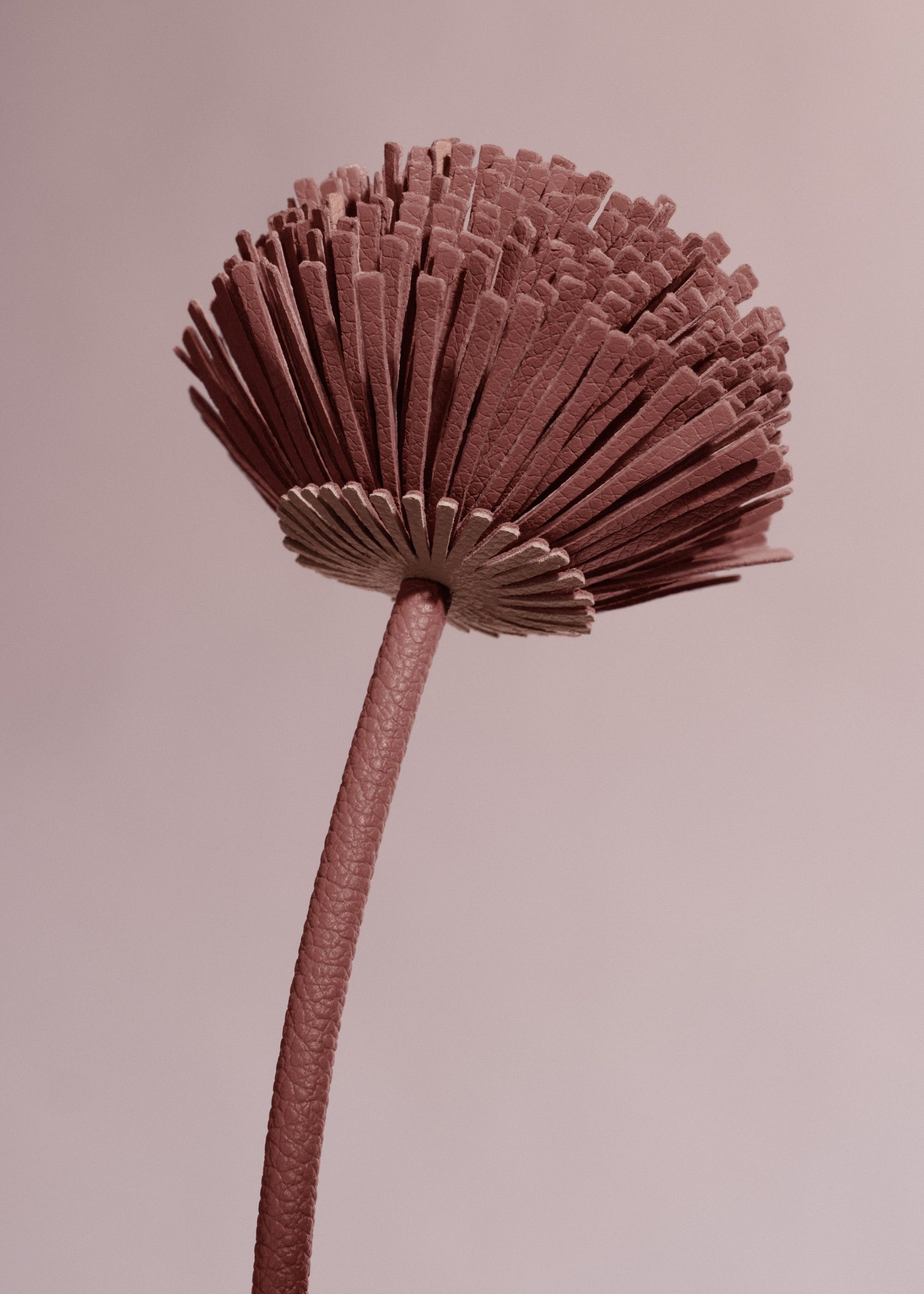 110_TUL-BLUSH_0046-DETAIL2000x2800px