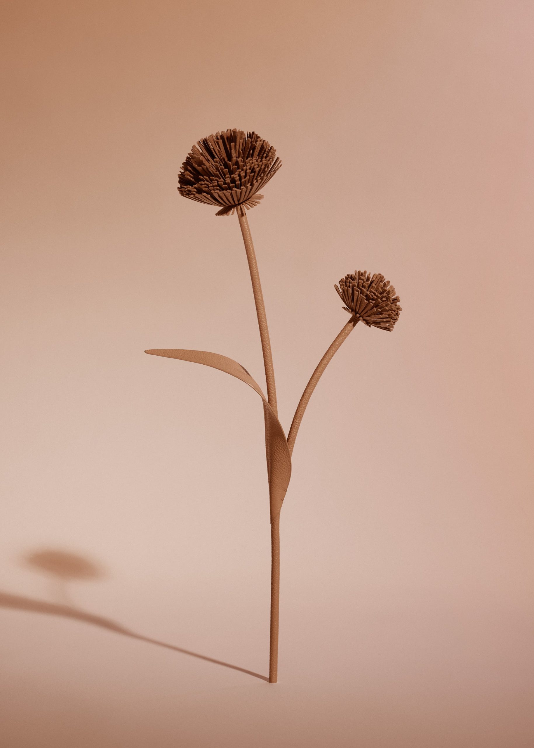 120_TUL-CAMEL_00092000x2800px