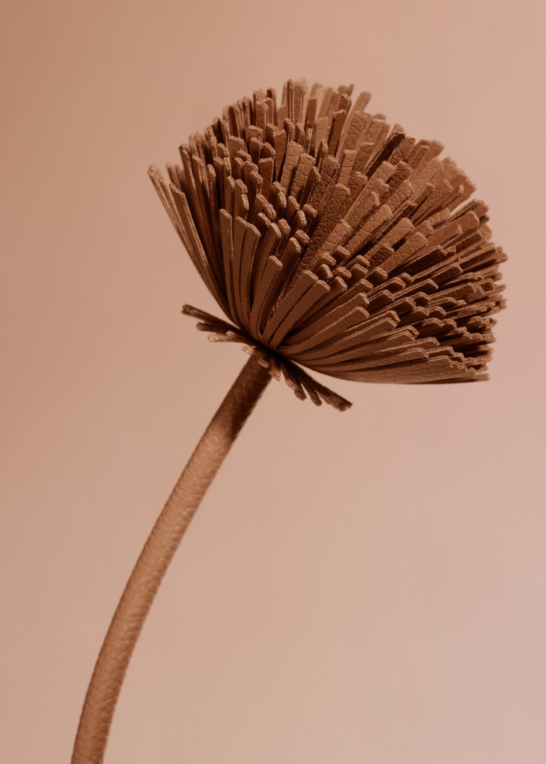 120_TUL-CAMEL_0026-DETAIL2000x2800px