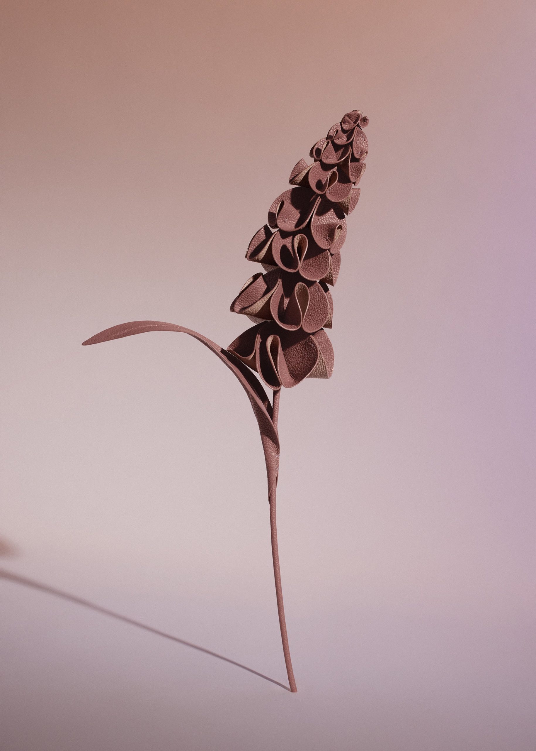 150_ORKI-BLUSH_00492000x2800px