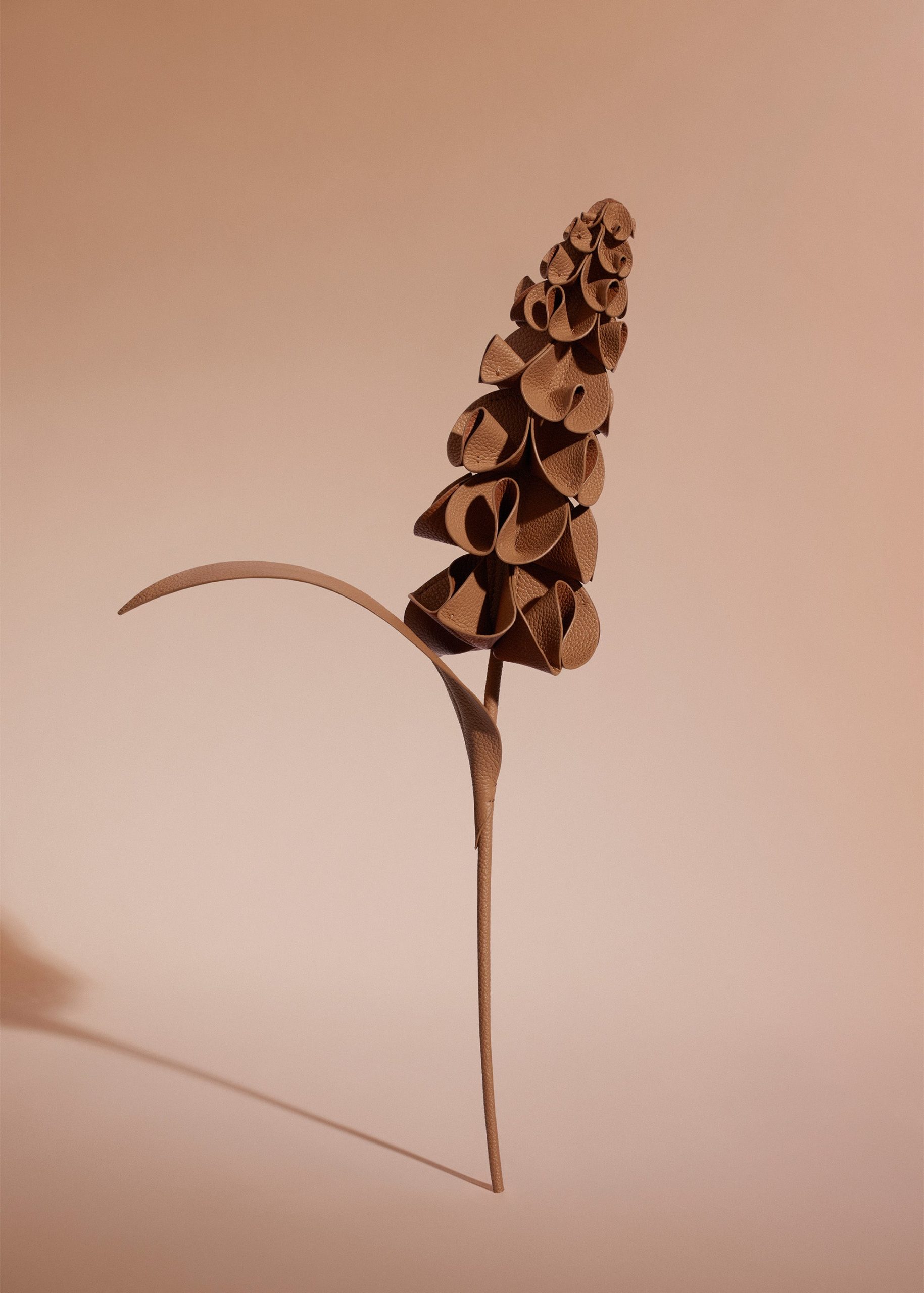 160_ORKI-CAMEL_00612000x2800px