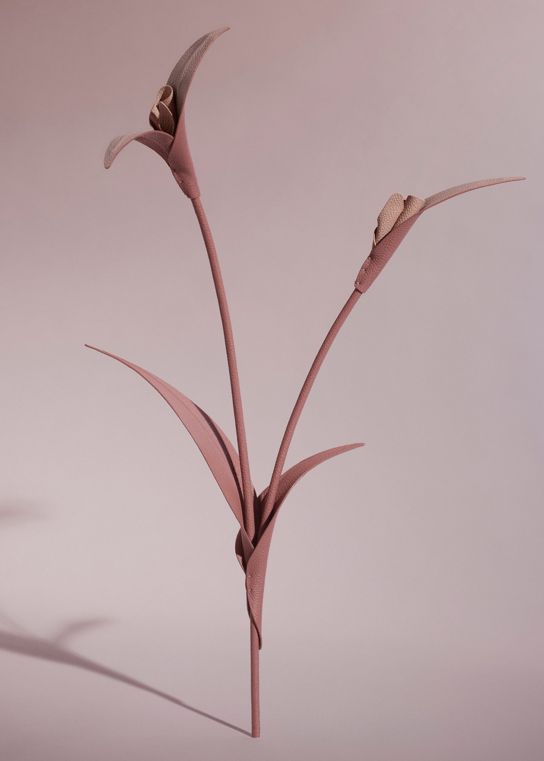 170_TOUKA-BLUSH_00112000x2800px