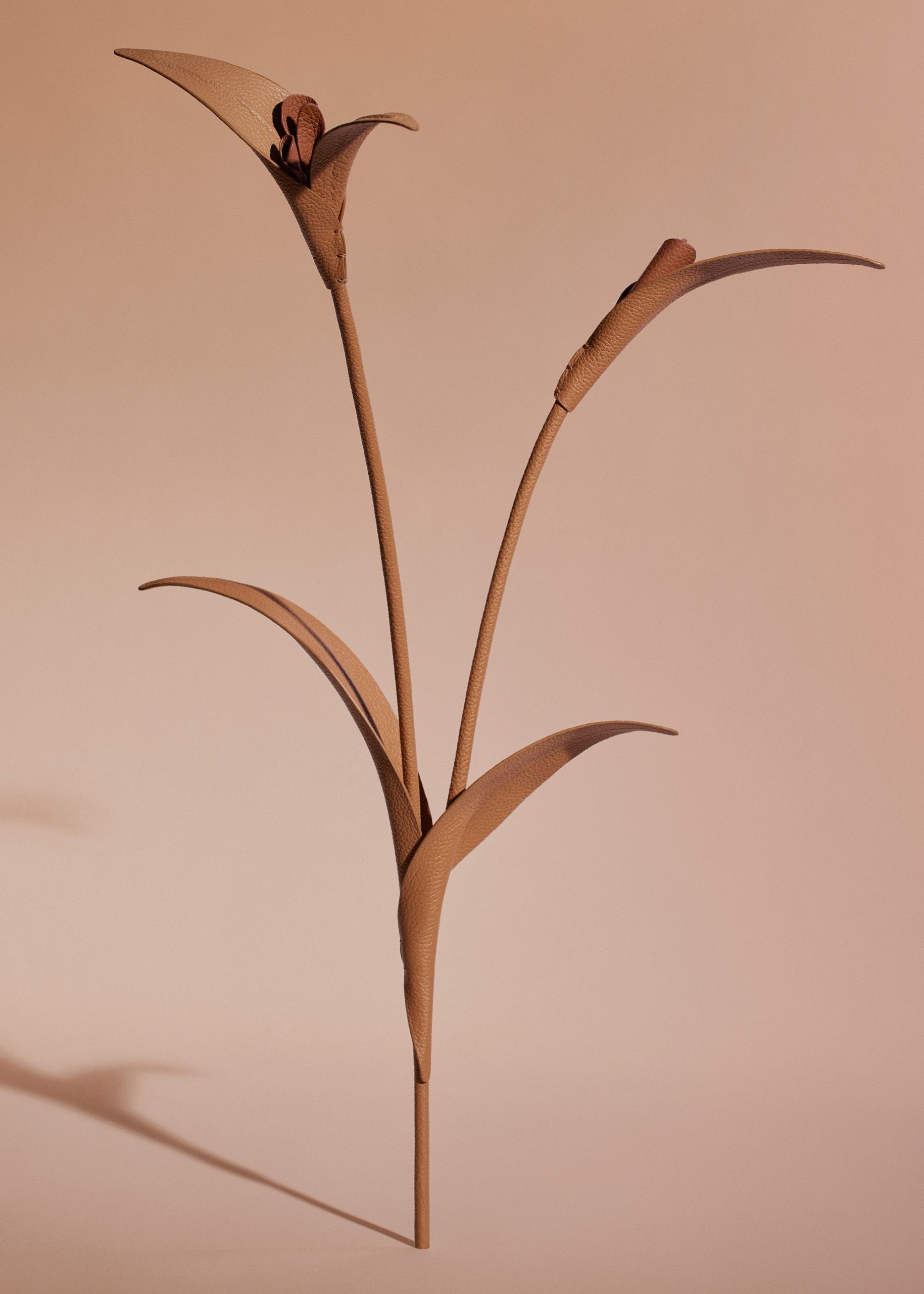 180_TOUKA-CAMEL_00242000x2800px