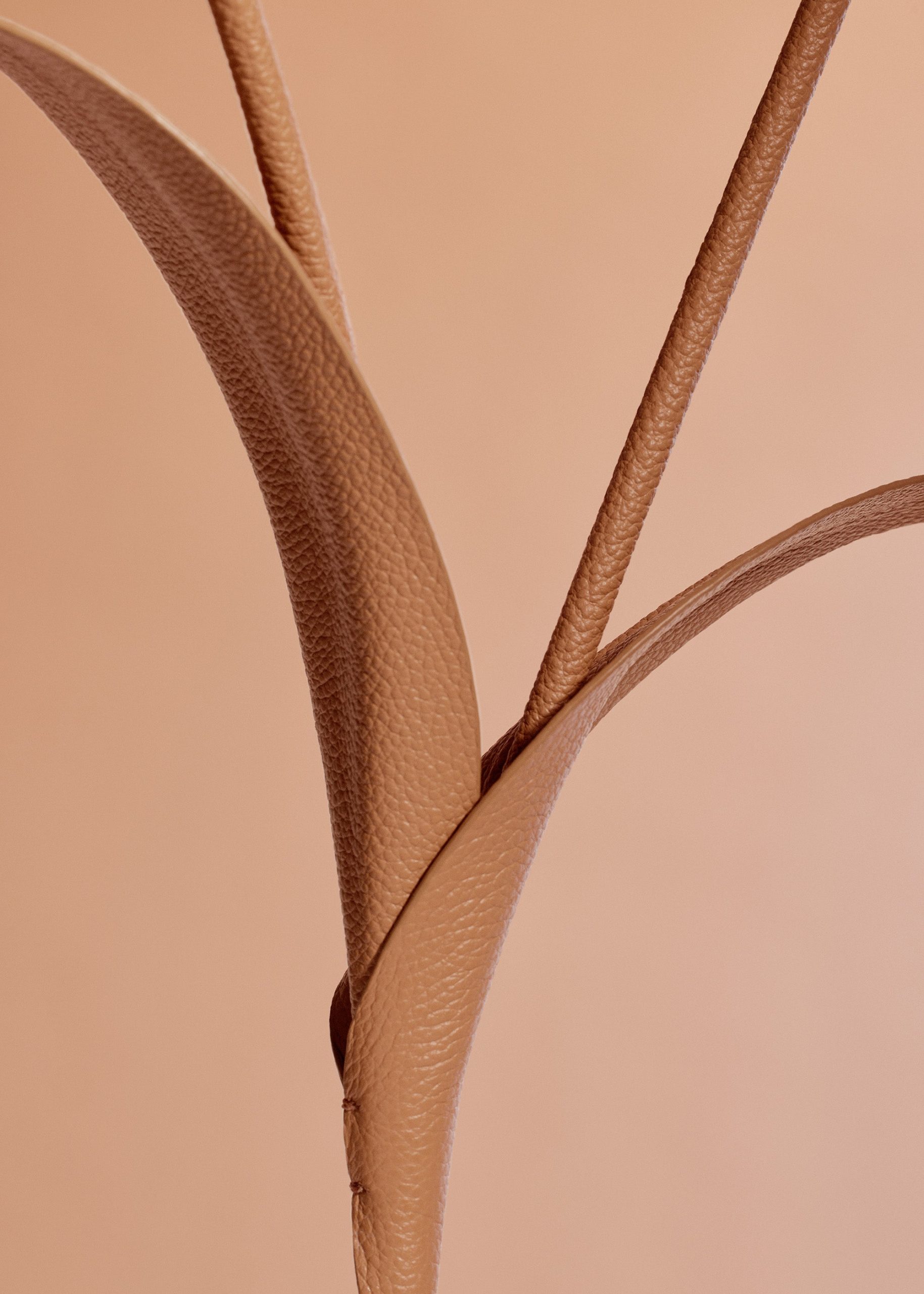 180_TOUKA-CAMEL_00352000x2800px