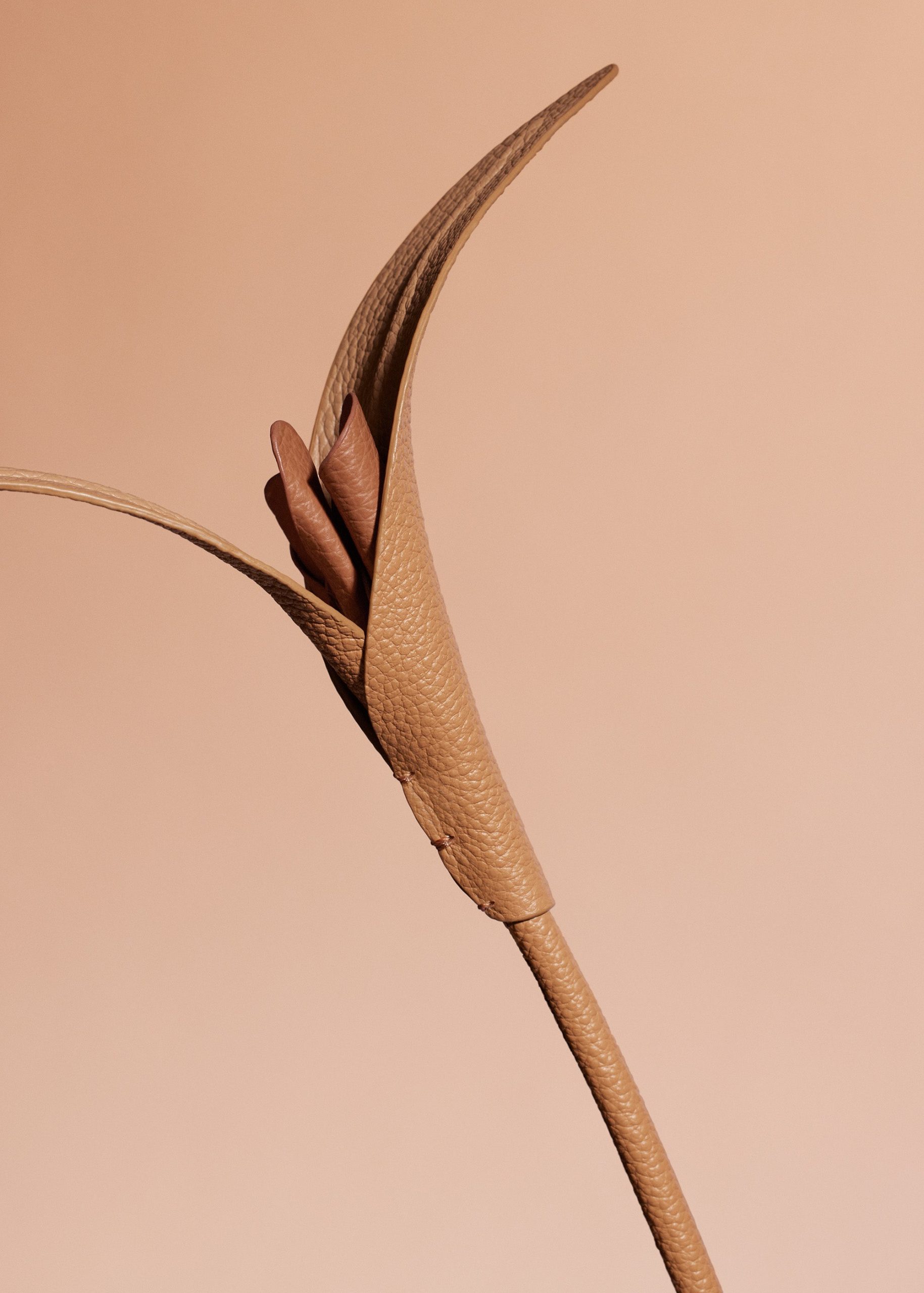 180_TOUKA-CAMEL_00542000x2800px