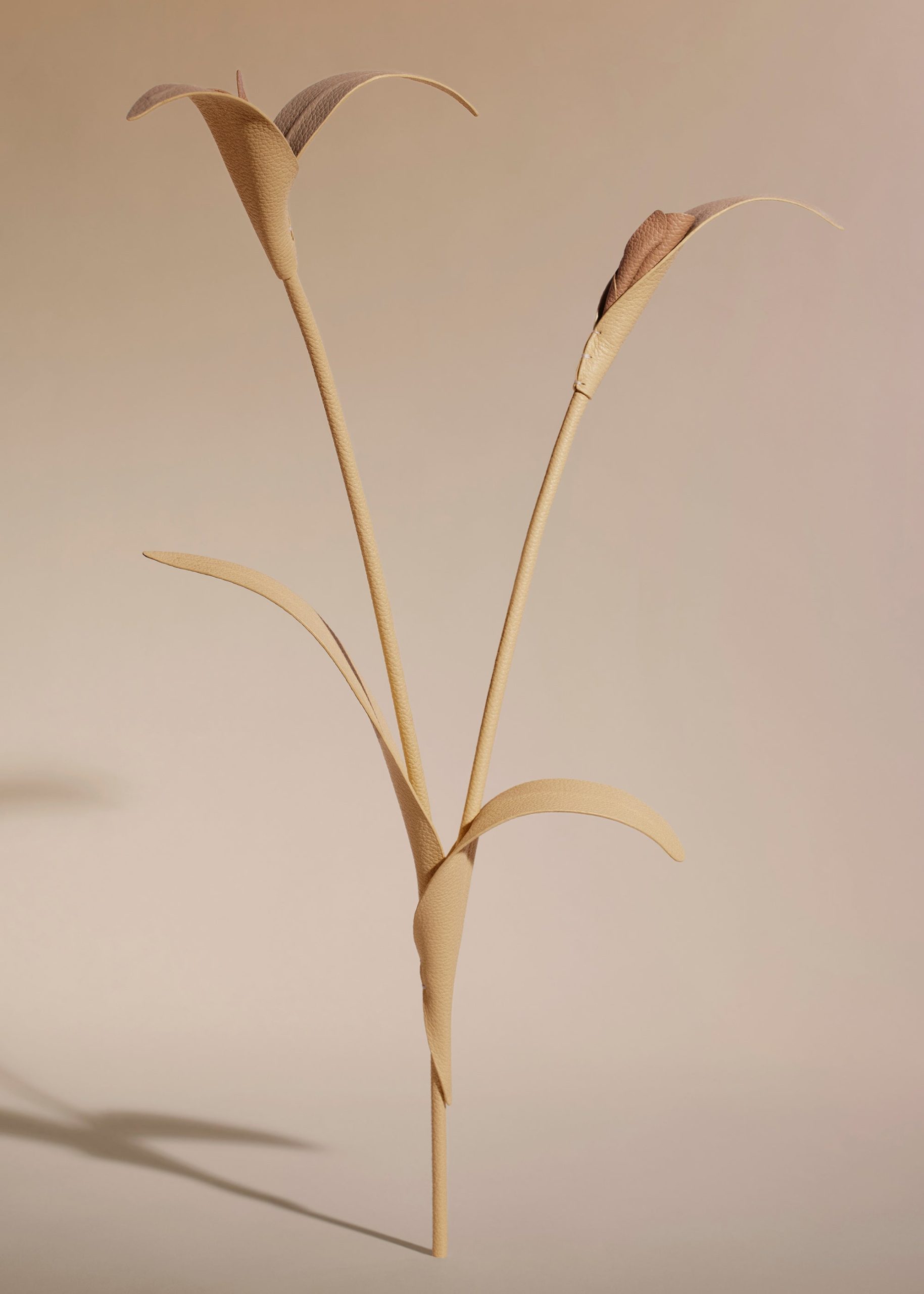 190_TOUKA-BLE_00102000x2800px