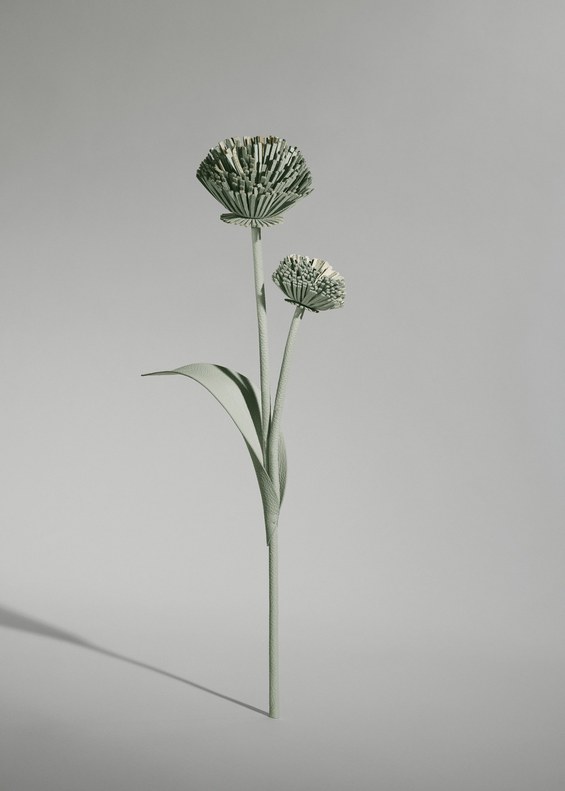 1_38f5f618-204a-494c-ae6f-f61253336515