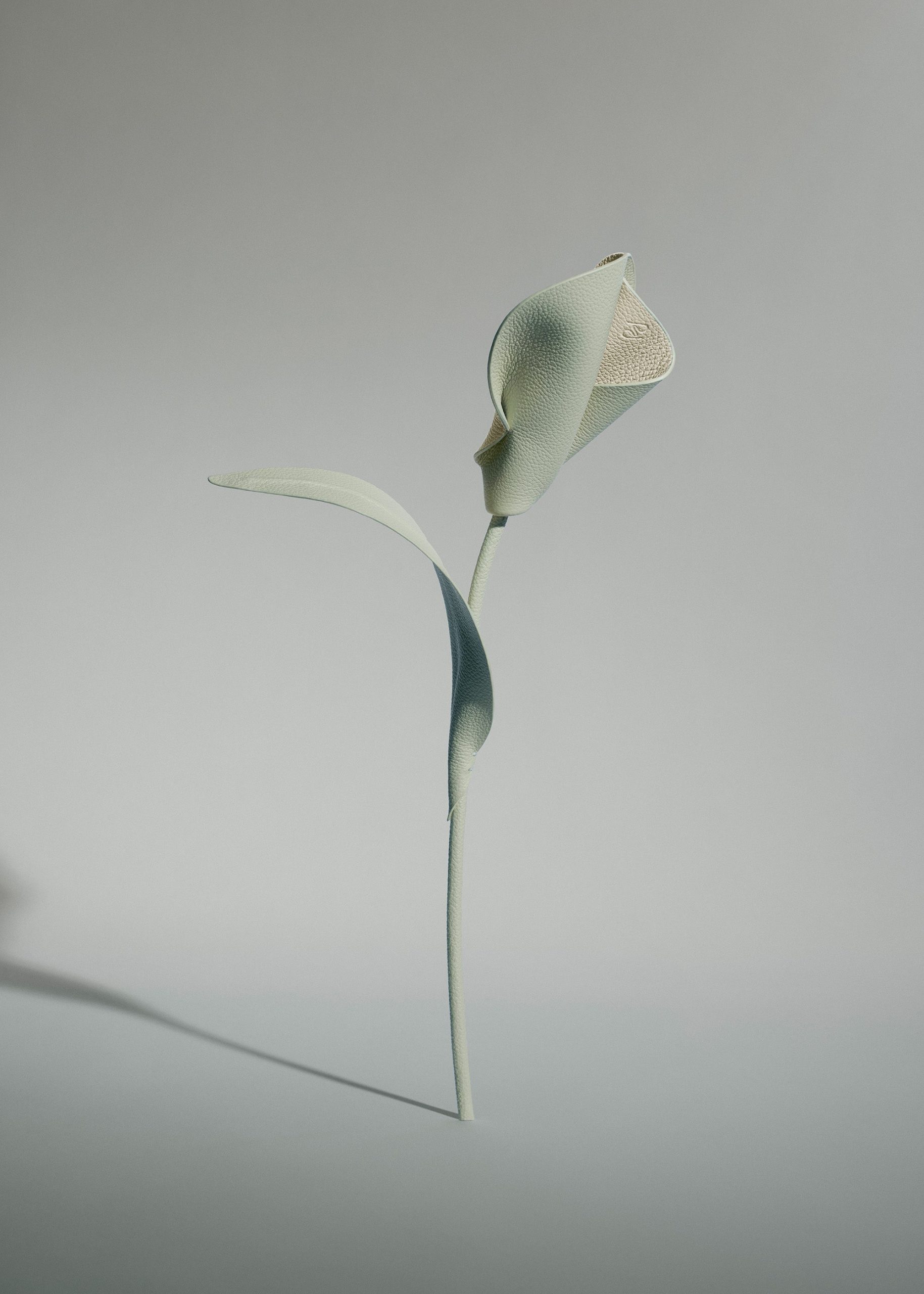 1_3ac1572b-9ad2-4a9c-959e-34a8d09e7990