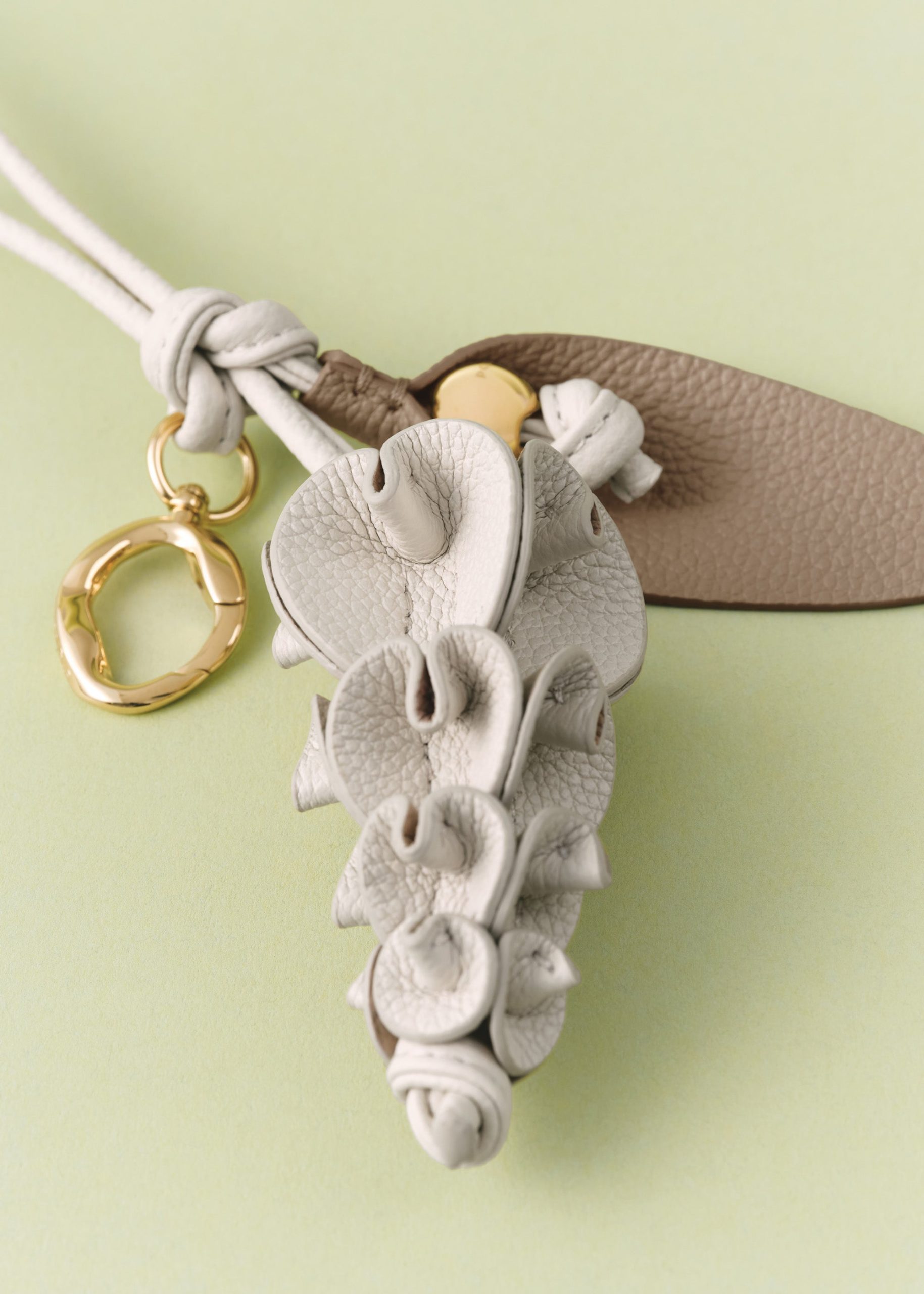 1_464880fb-e851-4e0a-a1b9-0a38f39fa0a2