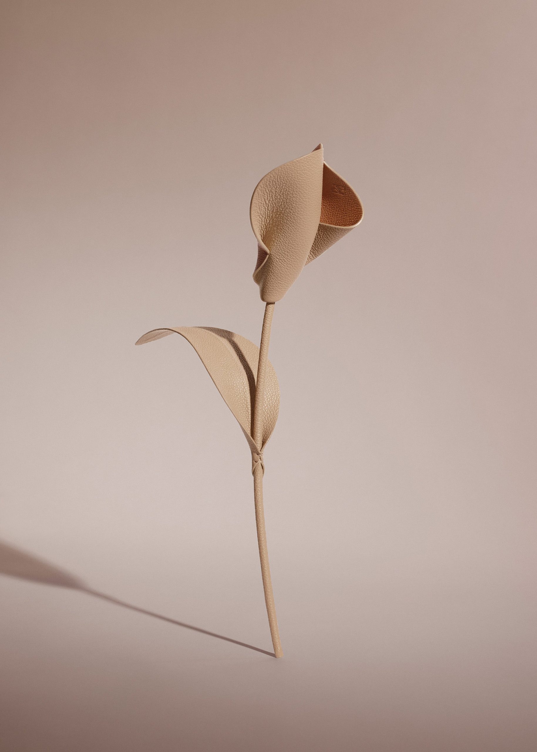 1_4667776c-9735-4a87-89a0-b11126a613e0