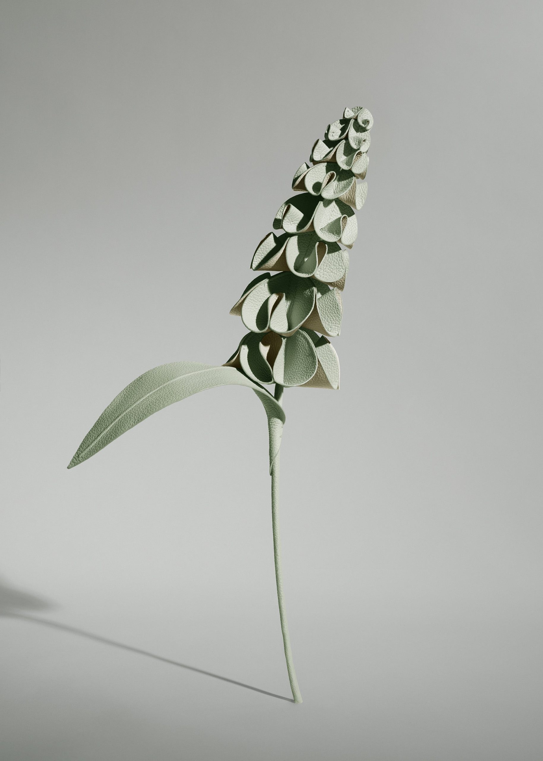 1_6caef796-0d26-4679-a833-df0d3c3935ac