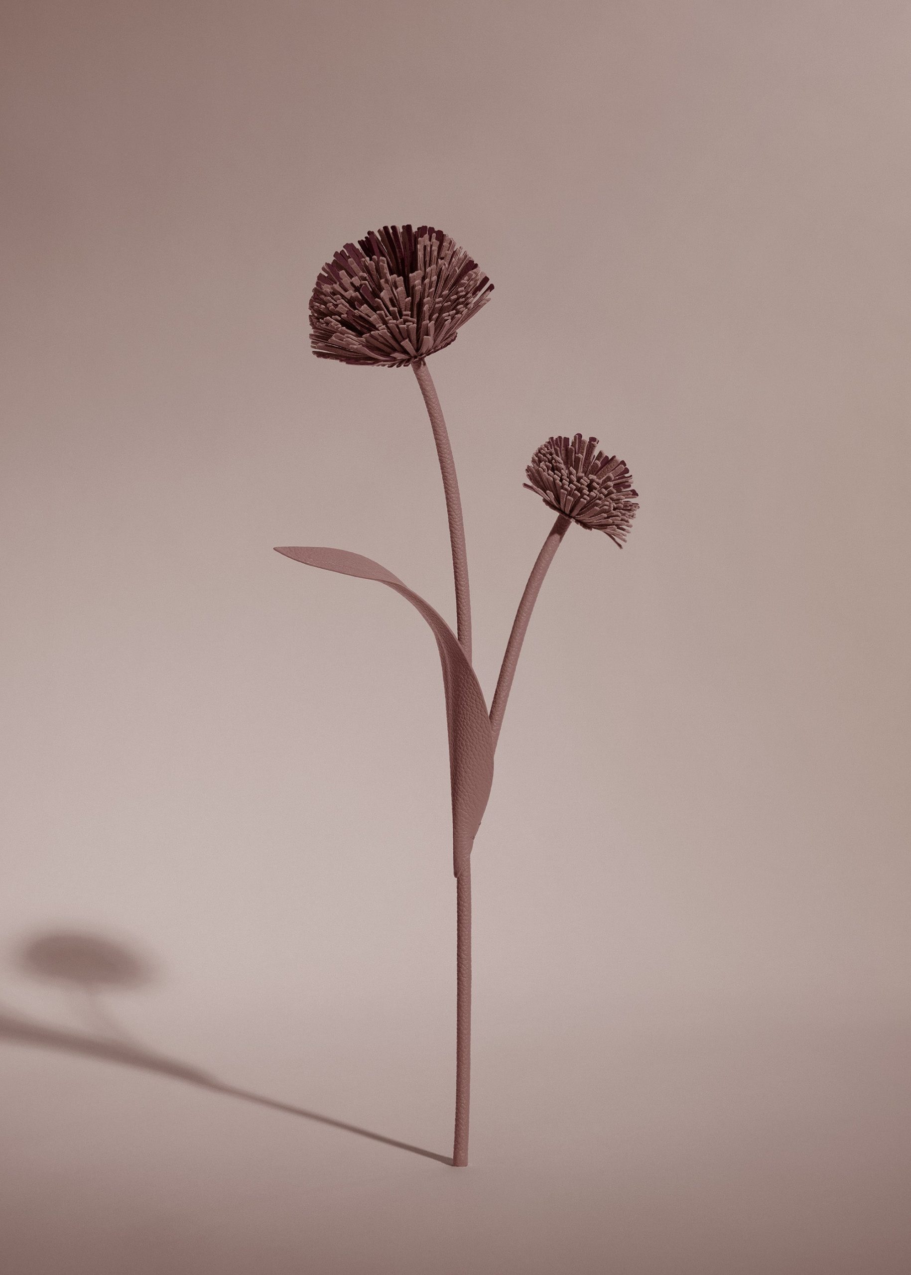 1_7526d679-3b2a-4dc2-9944-fdf7e293b946