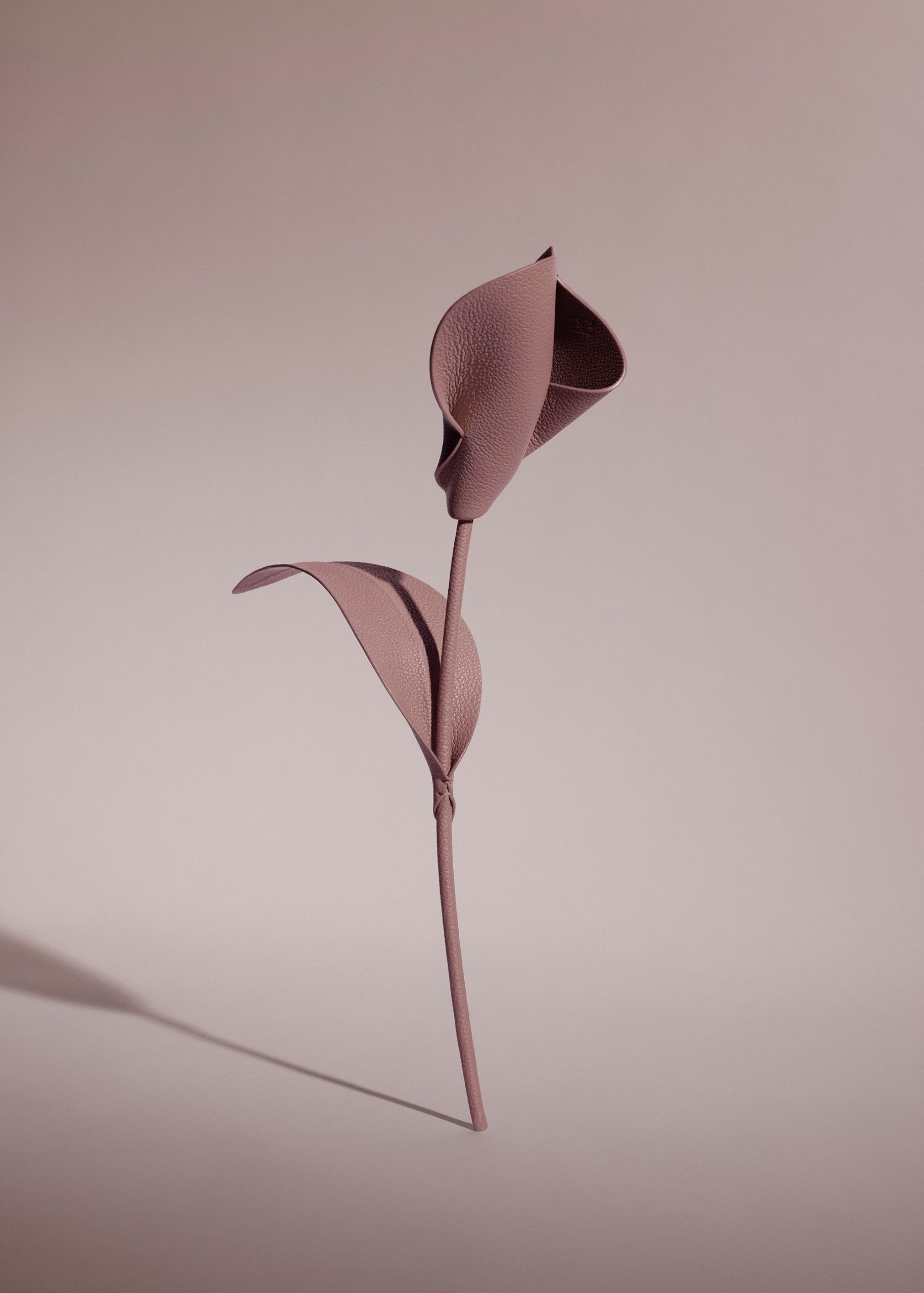 1_80708691-74c5-4387-9a2a-cc5d2cb2d261