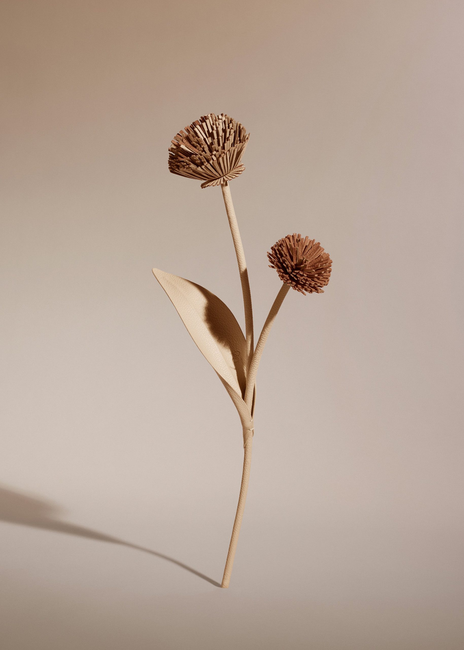 1_880af1e4-dd12-444b-9cd0-48a76681fdfd