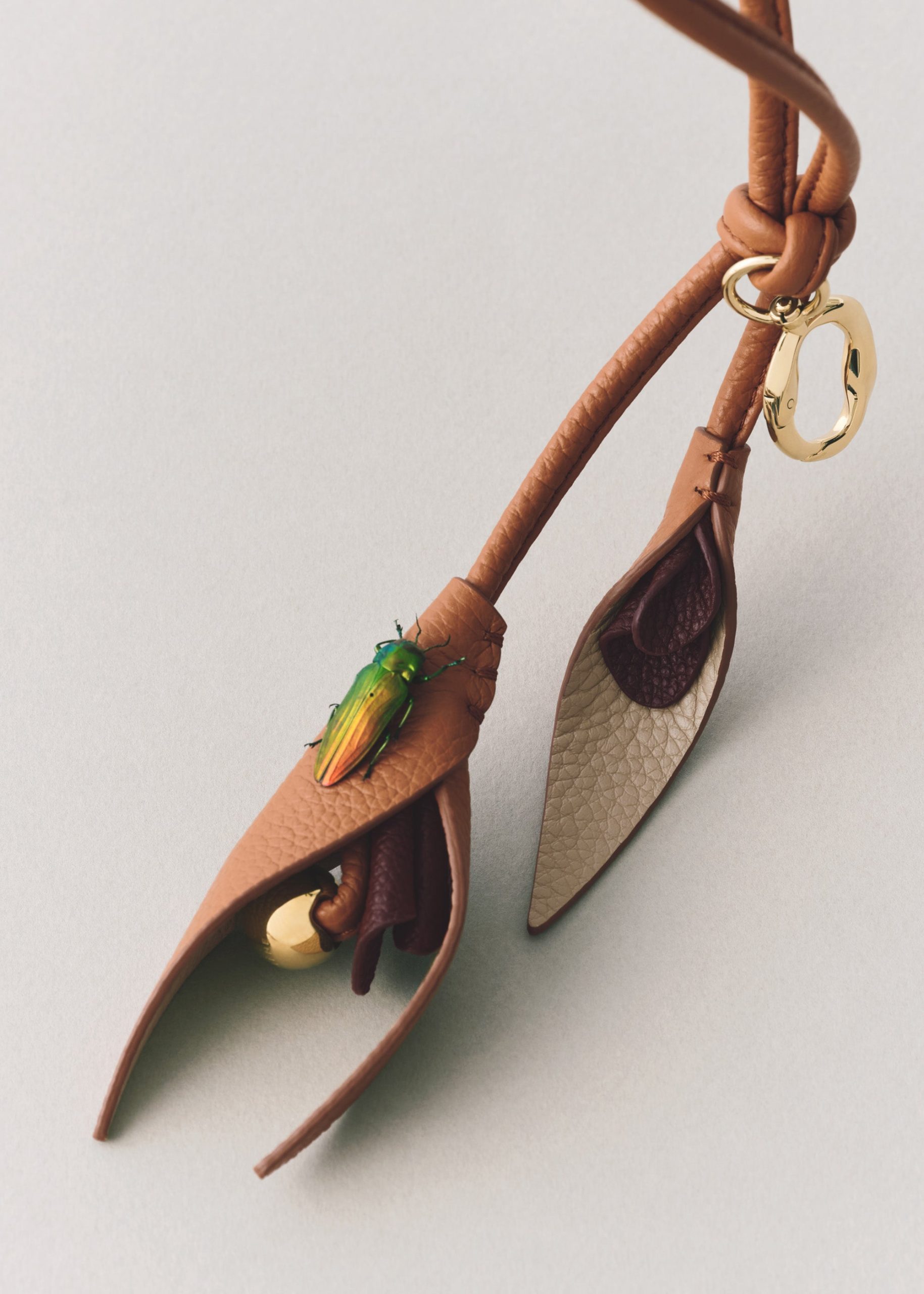 1_92417f79-bde5-42c1-9c13-1262183af618