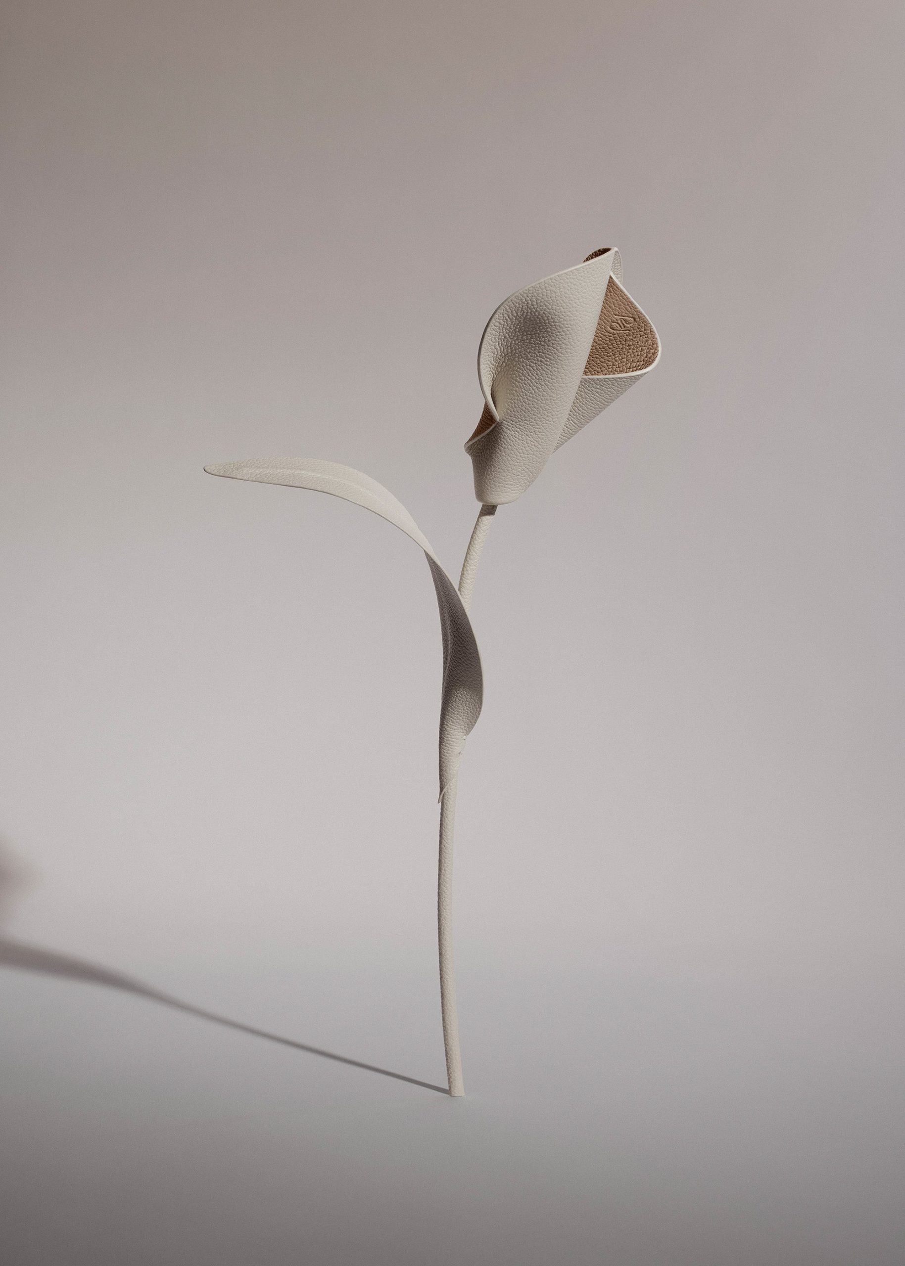 1_93c69ef2-c9ae-45eb-a97f-dbac76a65d1c