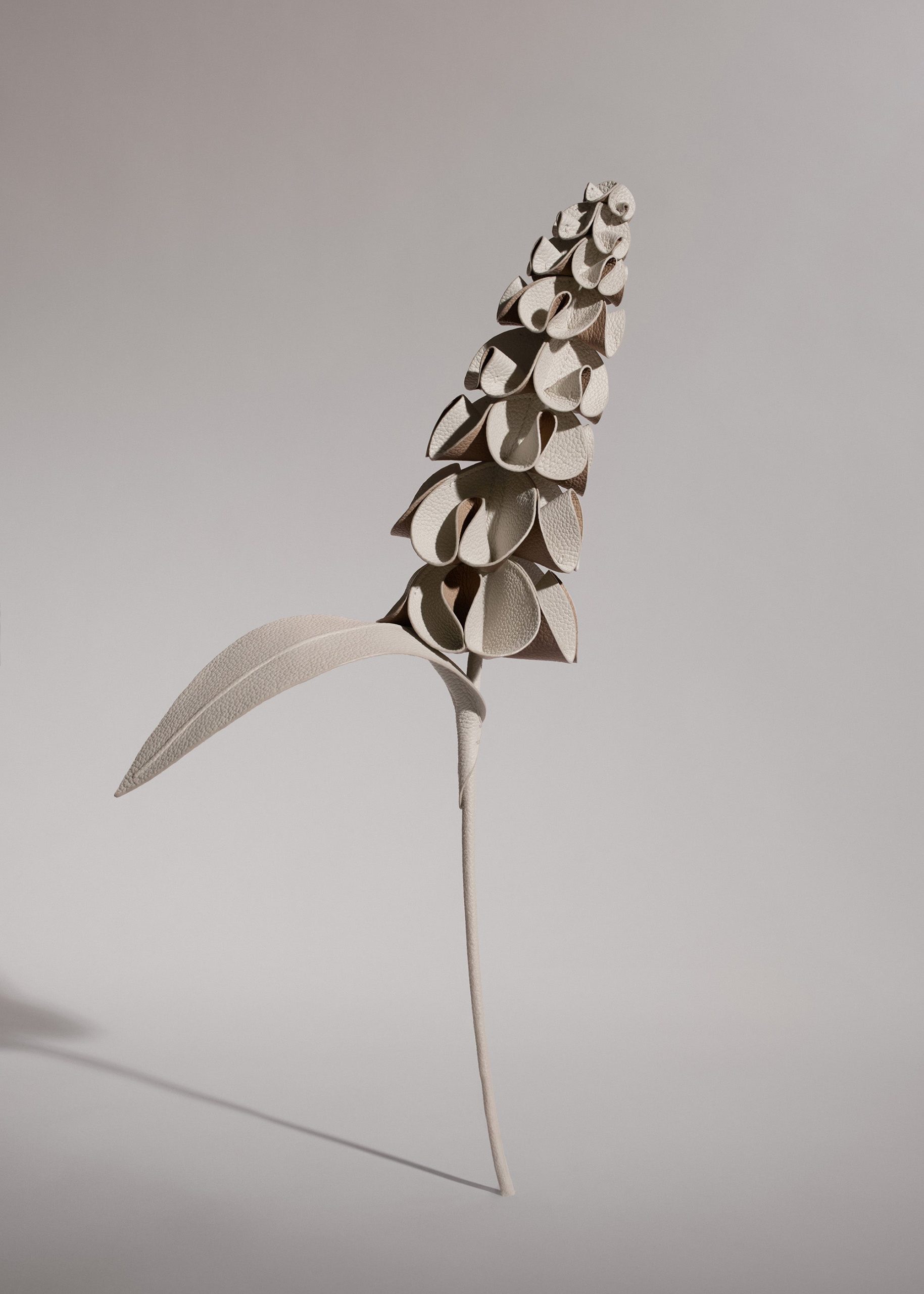 1_aef08e22-ab9b-4692-a6a3-0c1bb2e74a07