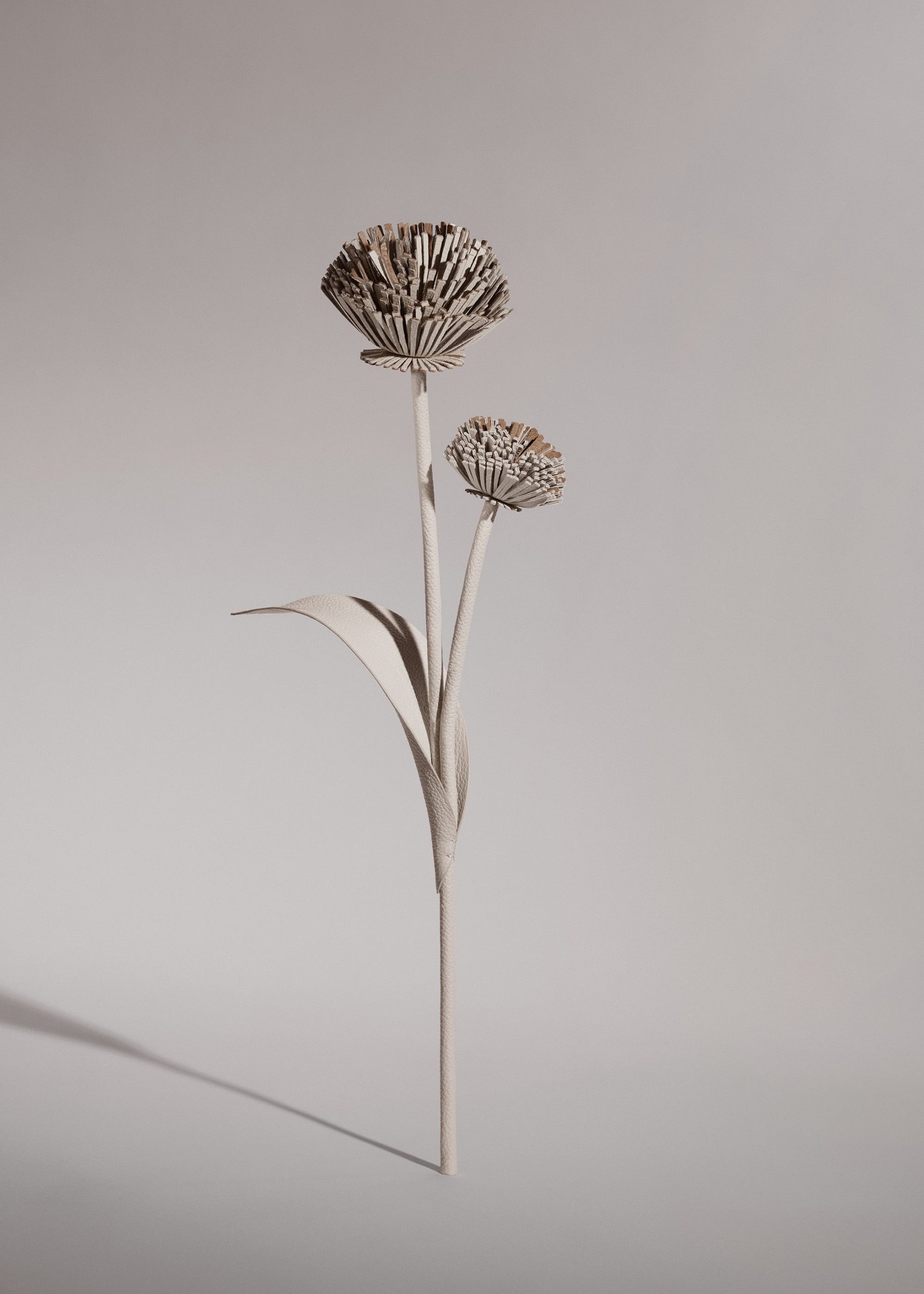 1_f7317034-5c6d-4a2a-bf8a-db9716028138