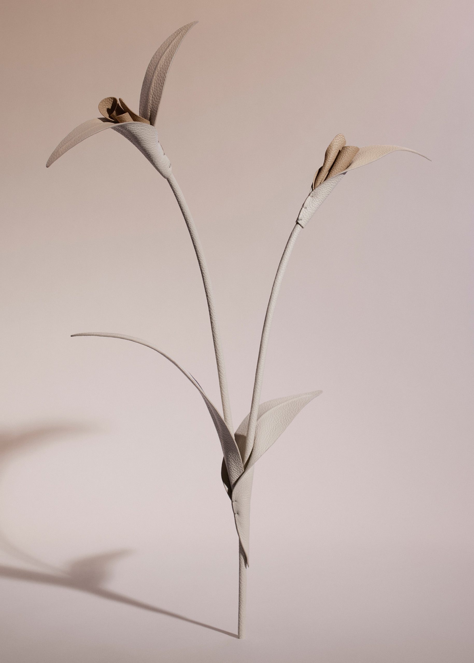 200_TOUKA-CRAIE_00072000x2800px