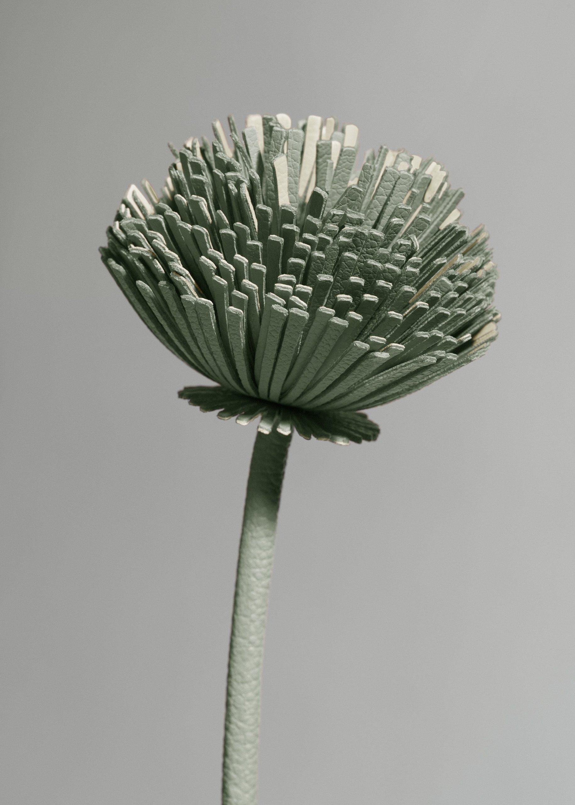 2_3e054528-4dda-410c-b250-e1f9698dda70