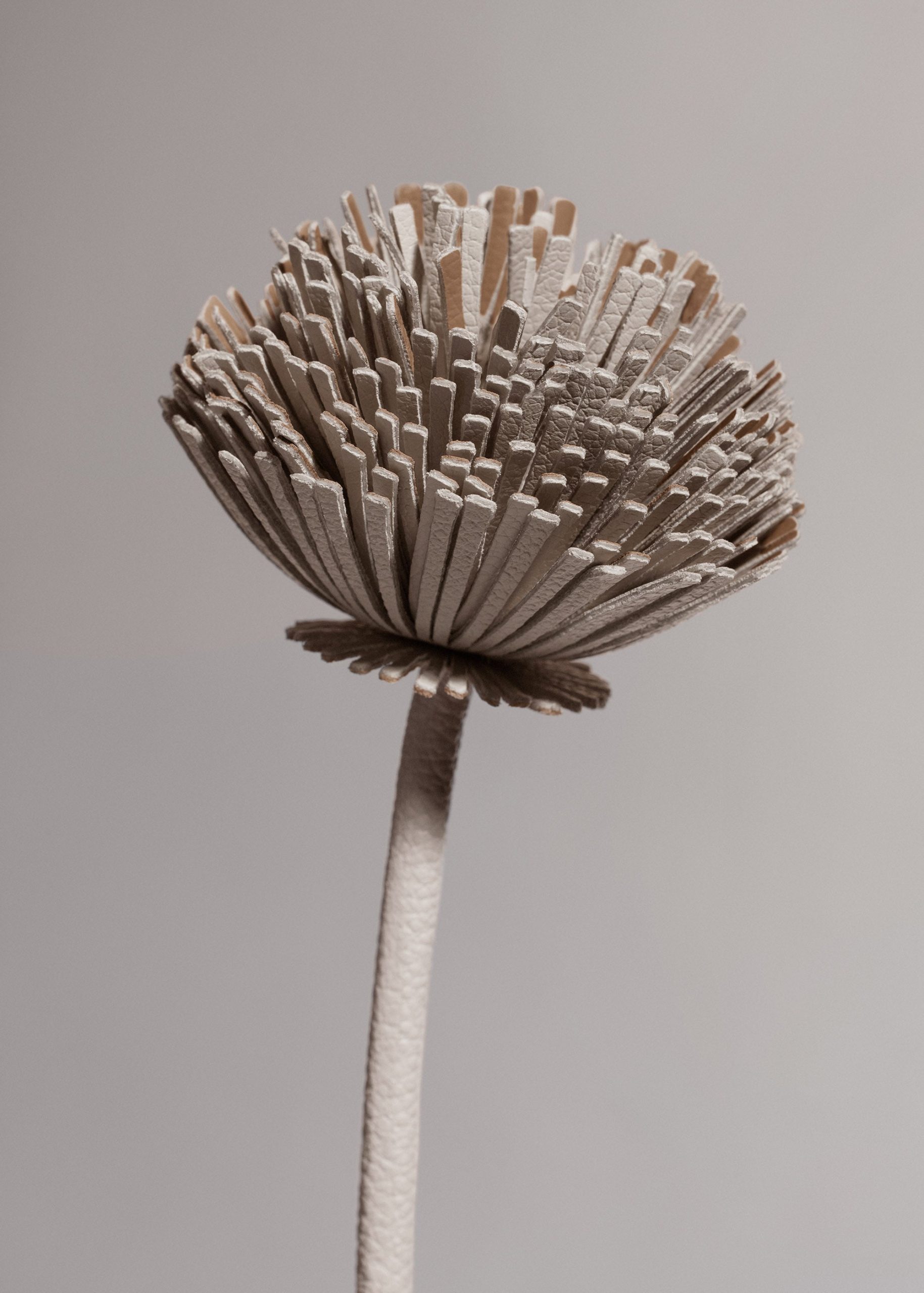 2_55578351-70b5-4e17-bf33-7e78b27c849a