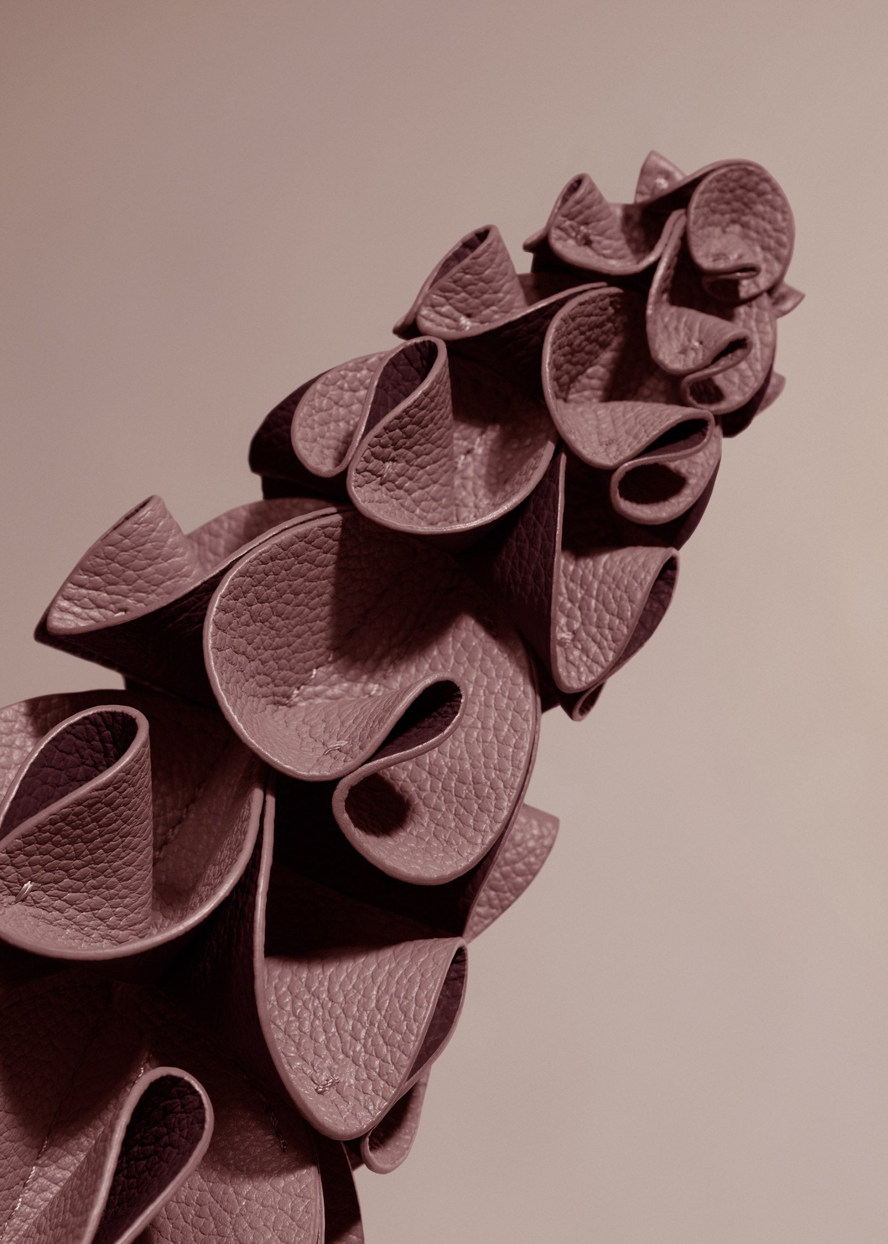 2_55bb9839-0872-43db-a155-6cc8d6ffb04c