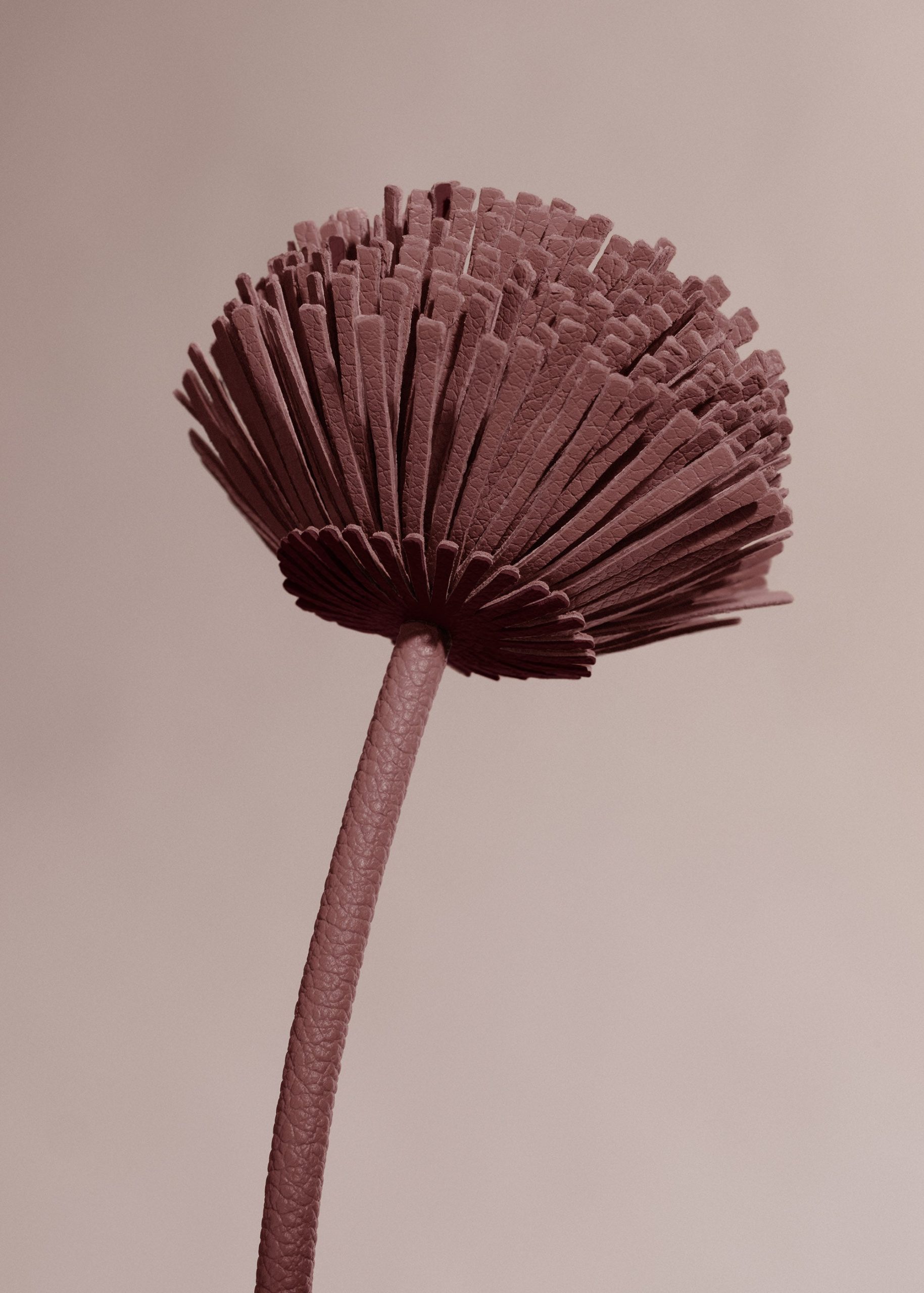 2_73e86442-7794-4cb7-a0ae-1b68dd722c84