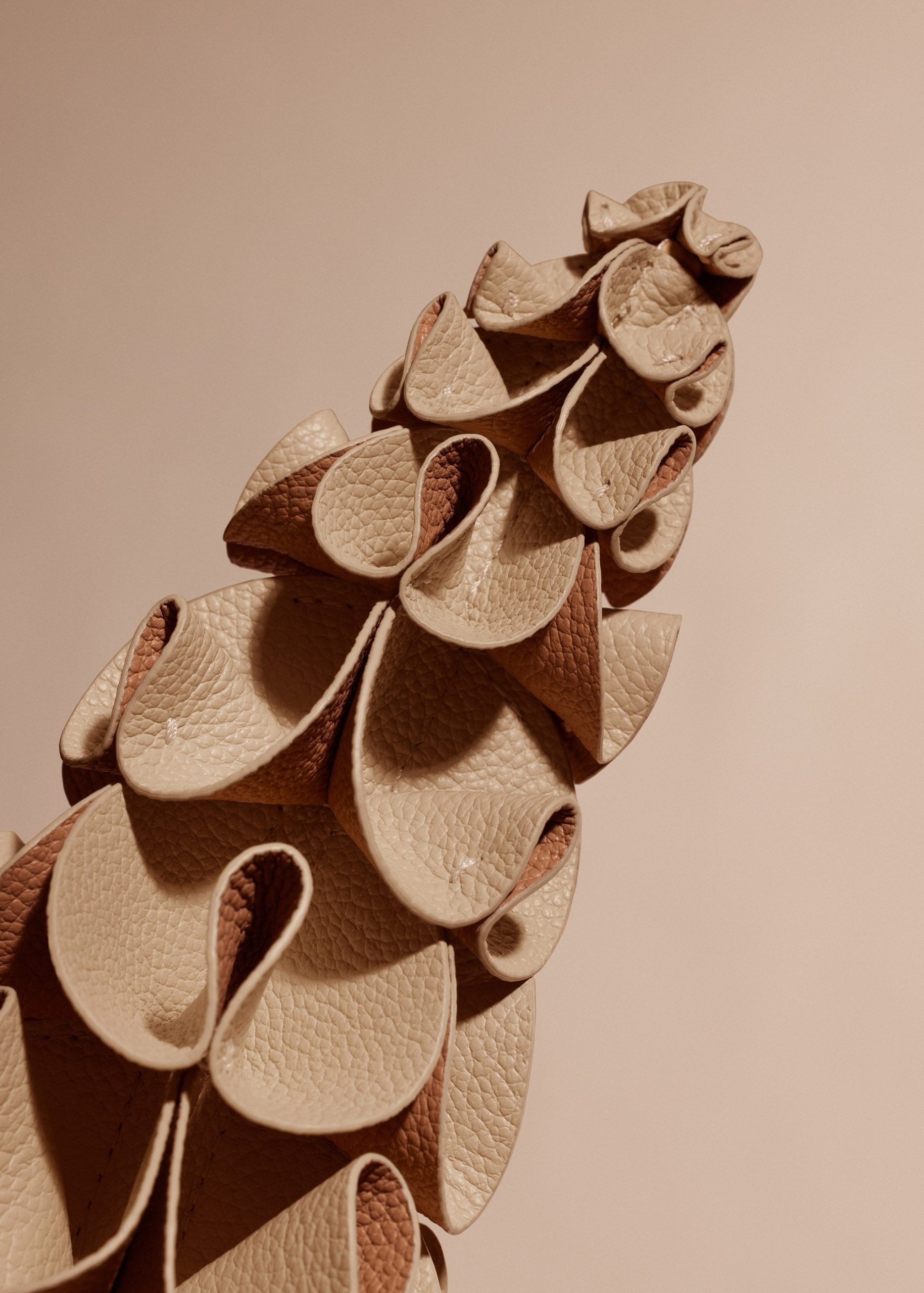 2_a6ad6717-3964-4512-b5b1-57f1ba0c254c