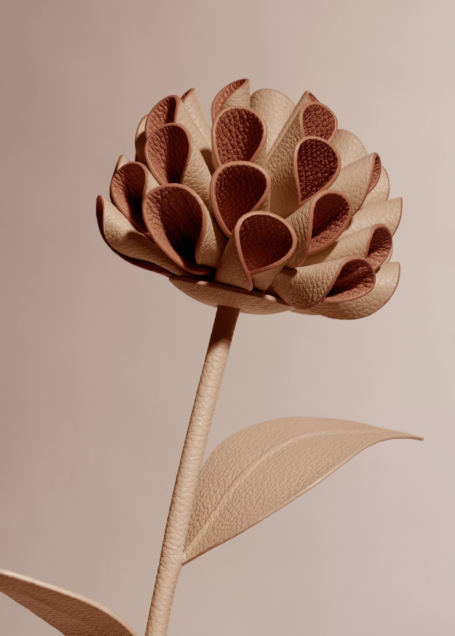 2_deeefcf5-583a-4e5d-bcc4-e6780c9cfa54