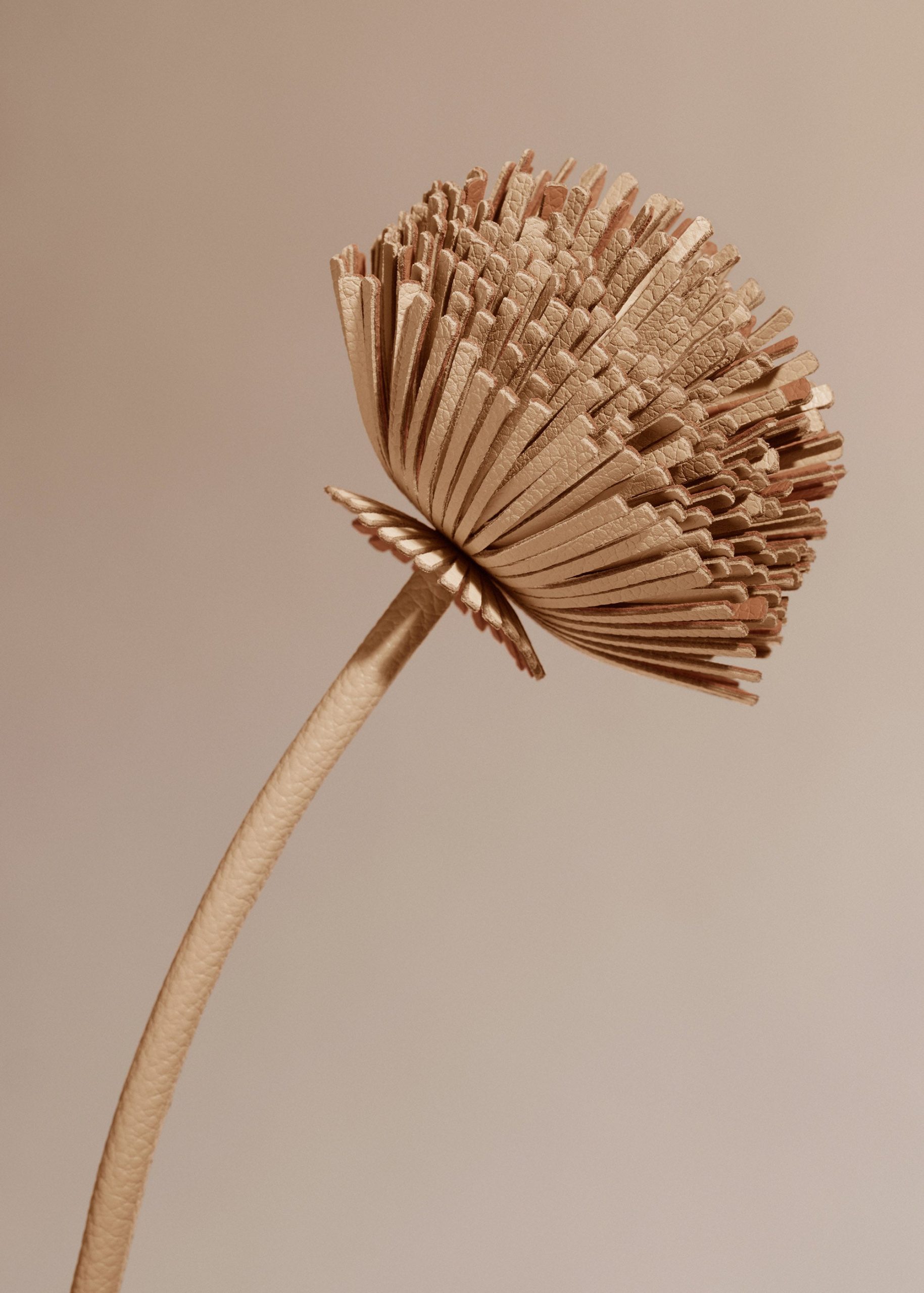 2_f706ef42-fdf8-487d-b499-ff88c9658b0c