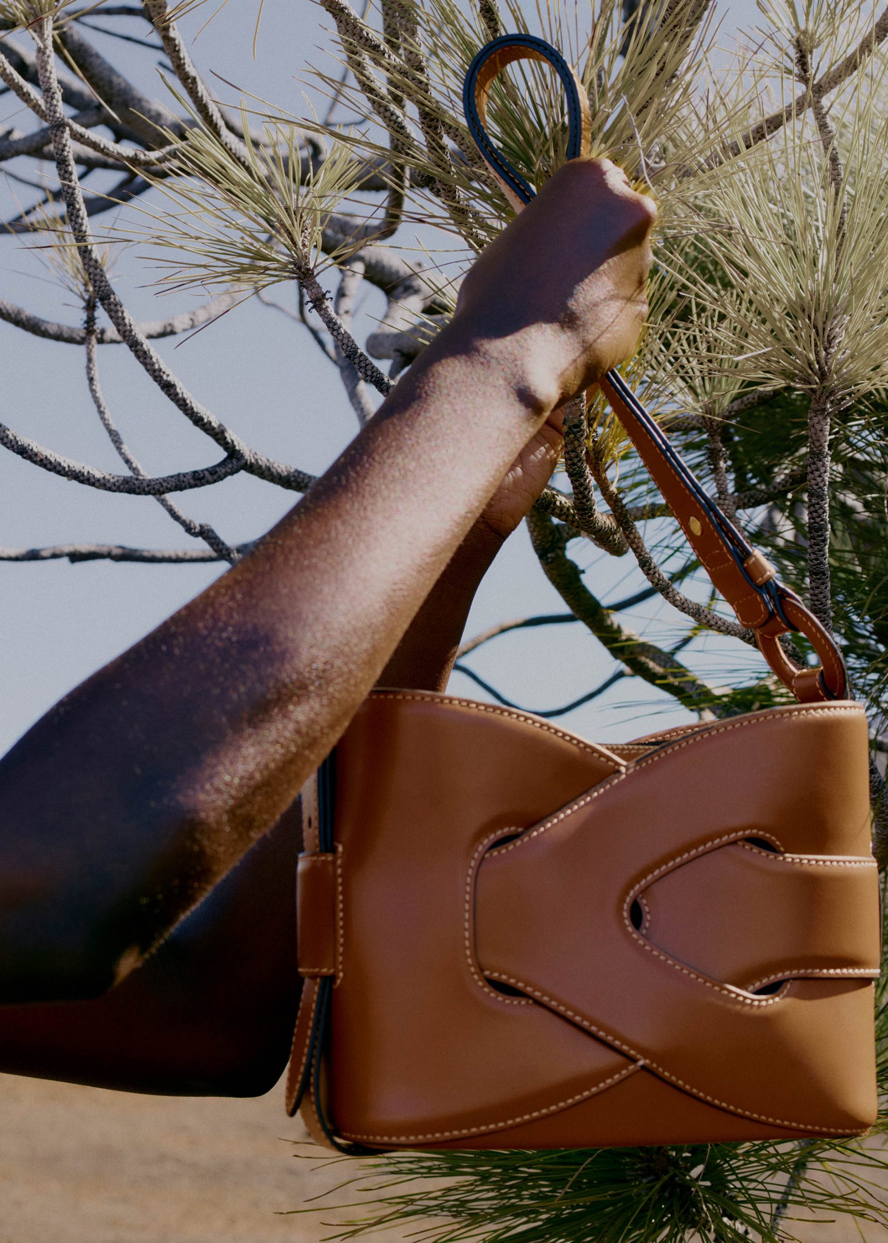 3_198b266e-12ab-4eef-bf74-60adbcff946b