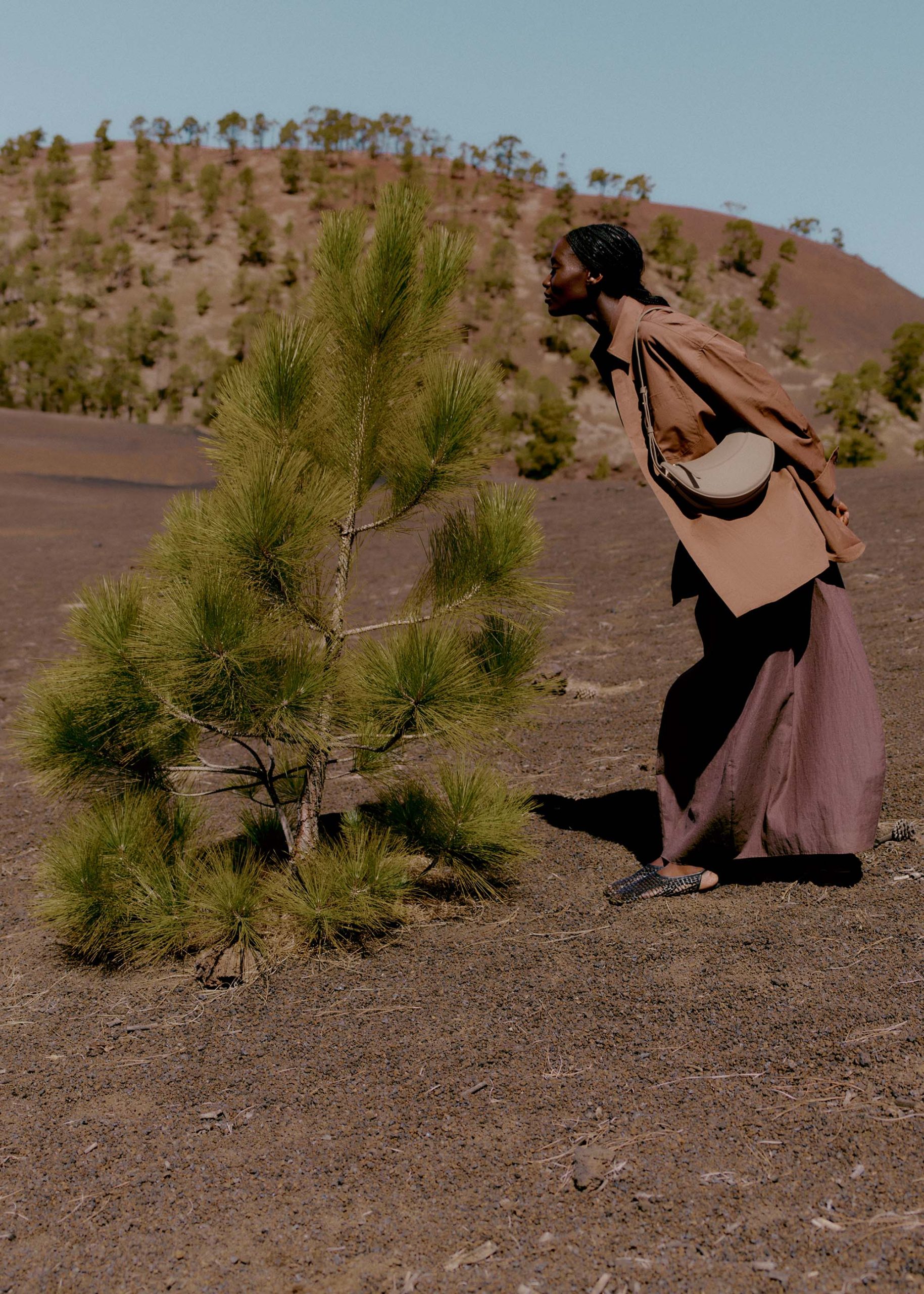 3_351b5dd2-cad7-458b-9c9b-6ef1bb878135