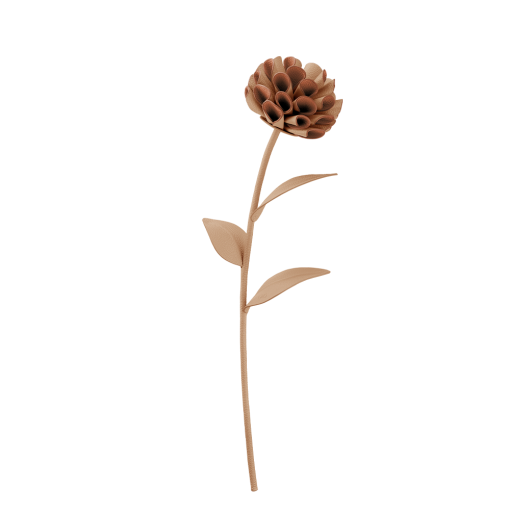 Fleur Dalium - Duo Beige