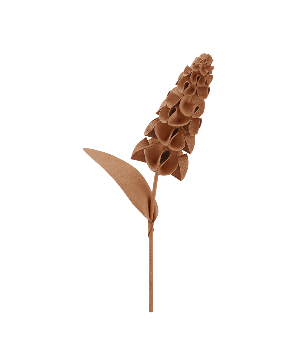 packshot-front_orki-duo-tan