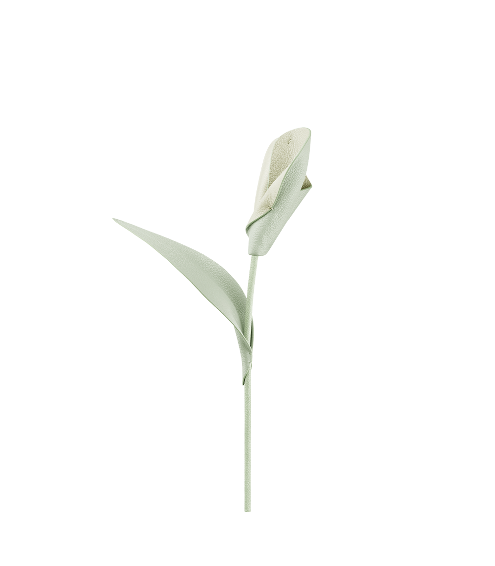 packshot-front_pili-duo-amande-fraiche-drop-2