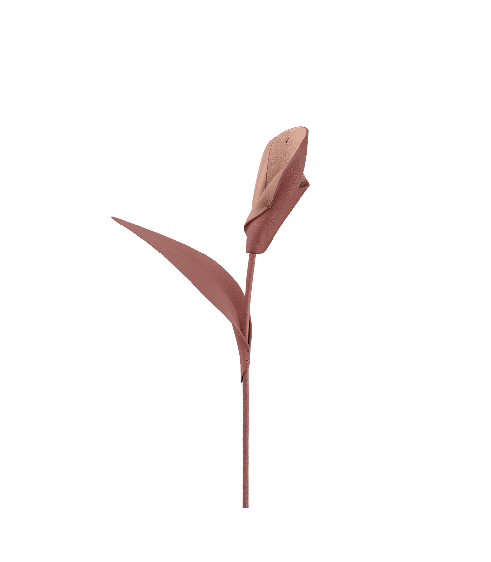 packshot-front_pili-duo-blush