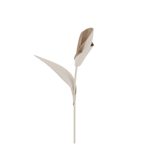 Fleur Pili - Duo Craie