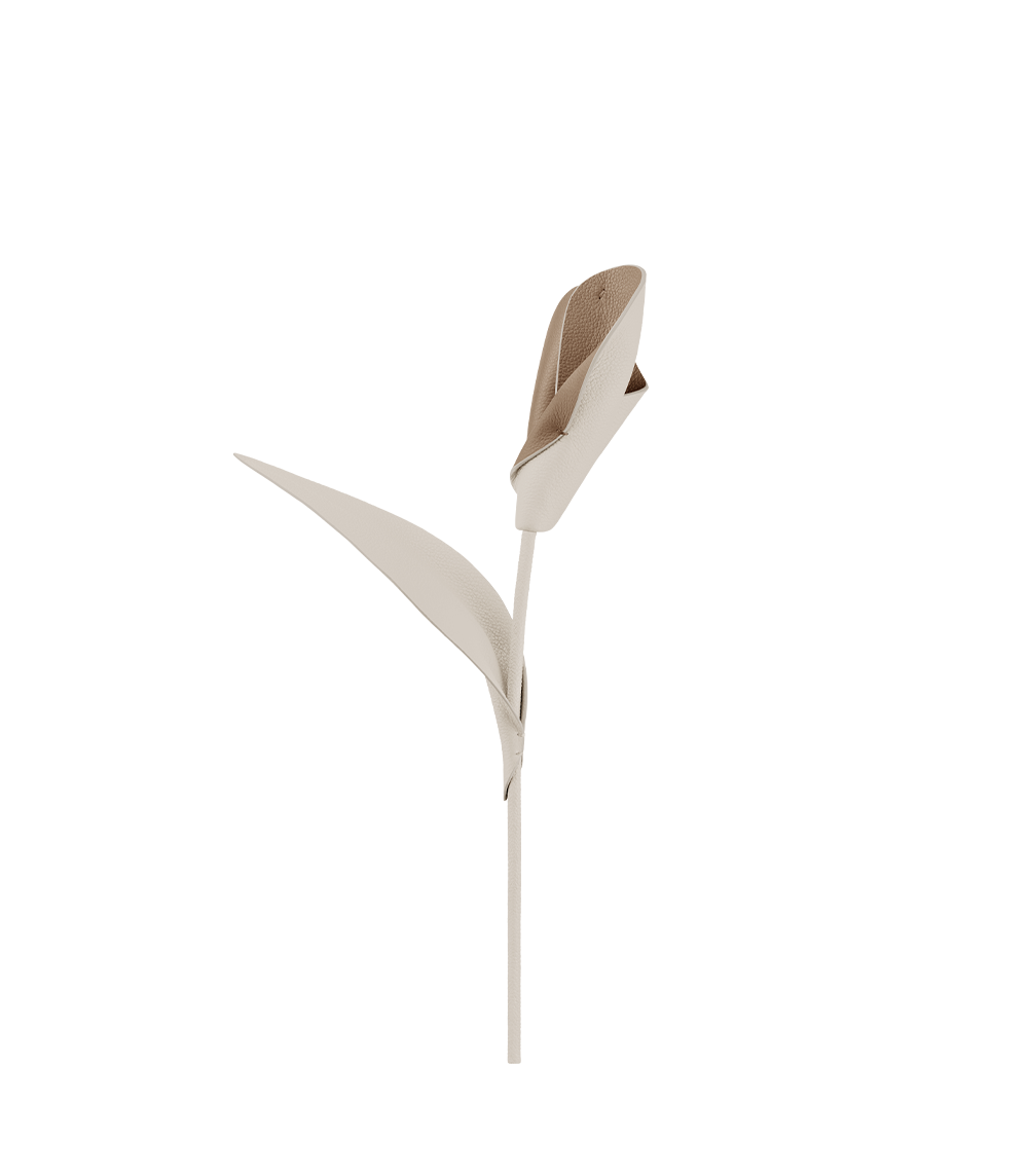 packshot-front_pili-duo-craie-drop-2