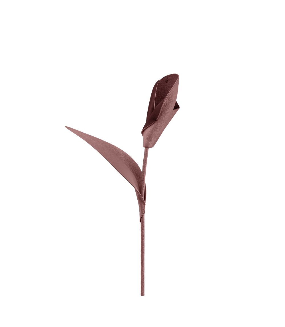 packshot-front_pili-duo-lilas-drop-2