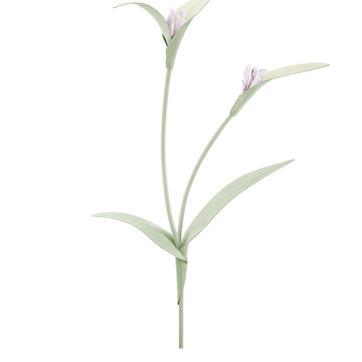 Fleur Touka - Trio Amande Fraîche