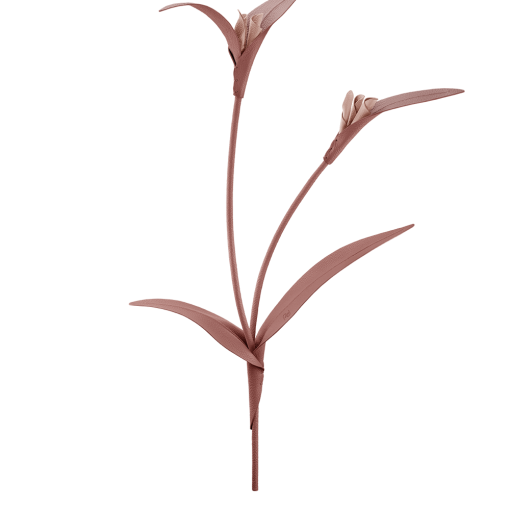 Fleur Touka - Trio Blush Grainé