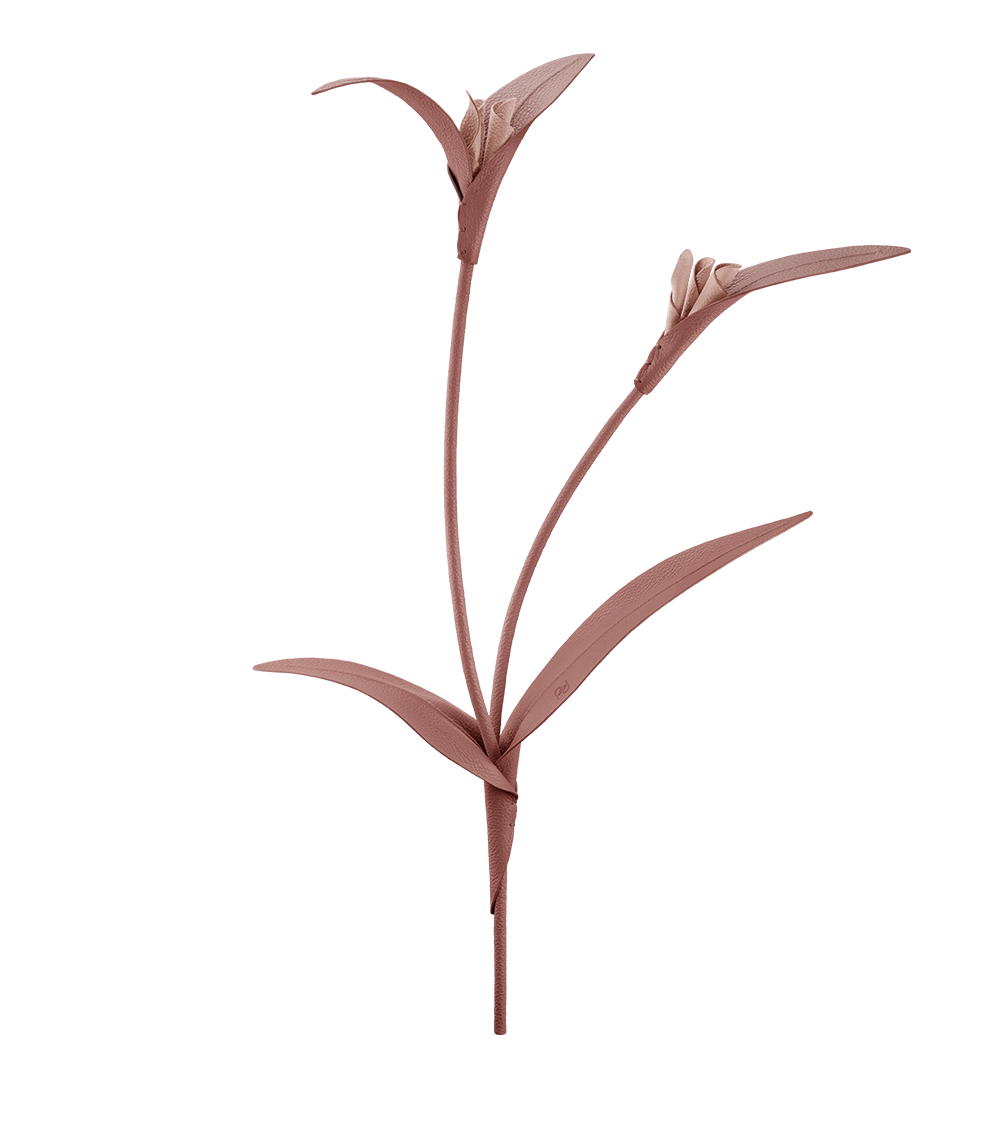 packshot-front_touka-trio-blush