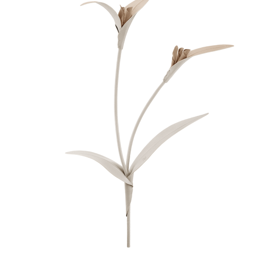 Fleur Touka - Trio Craie Grainé