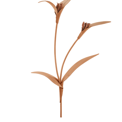 Fleur Touka - Trio Tan Grainé